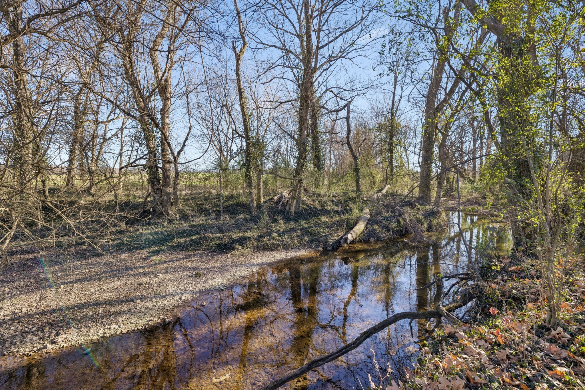 0 Buck Matthews Road Culleoka, TN 38451 - Photo 13 of 69