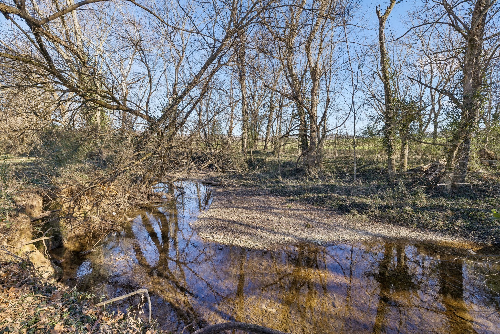 0 Buck Matthews Road Culleoka, TN 38451 - Photo 14 of 69 a view of yard with green space