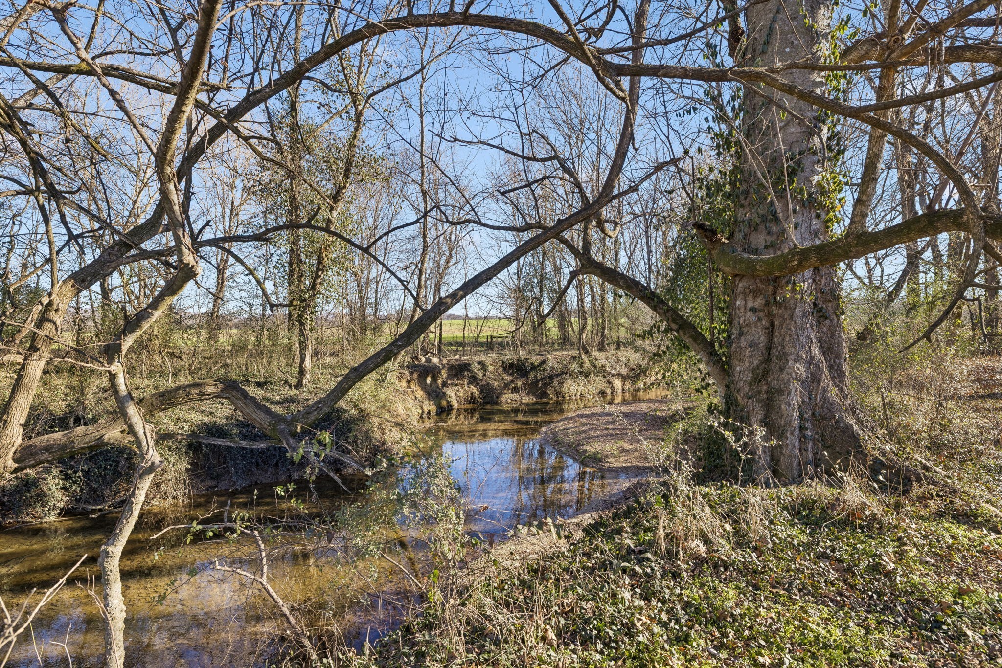 0 Buck Matthews Road Culleoka, TN 38451 - Photo 16 of 69