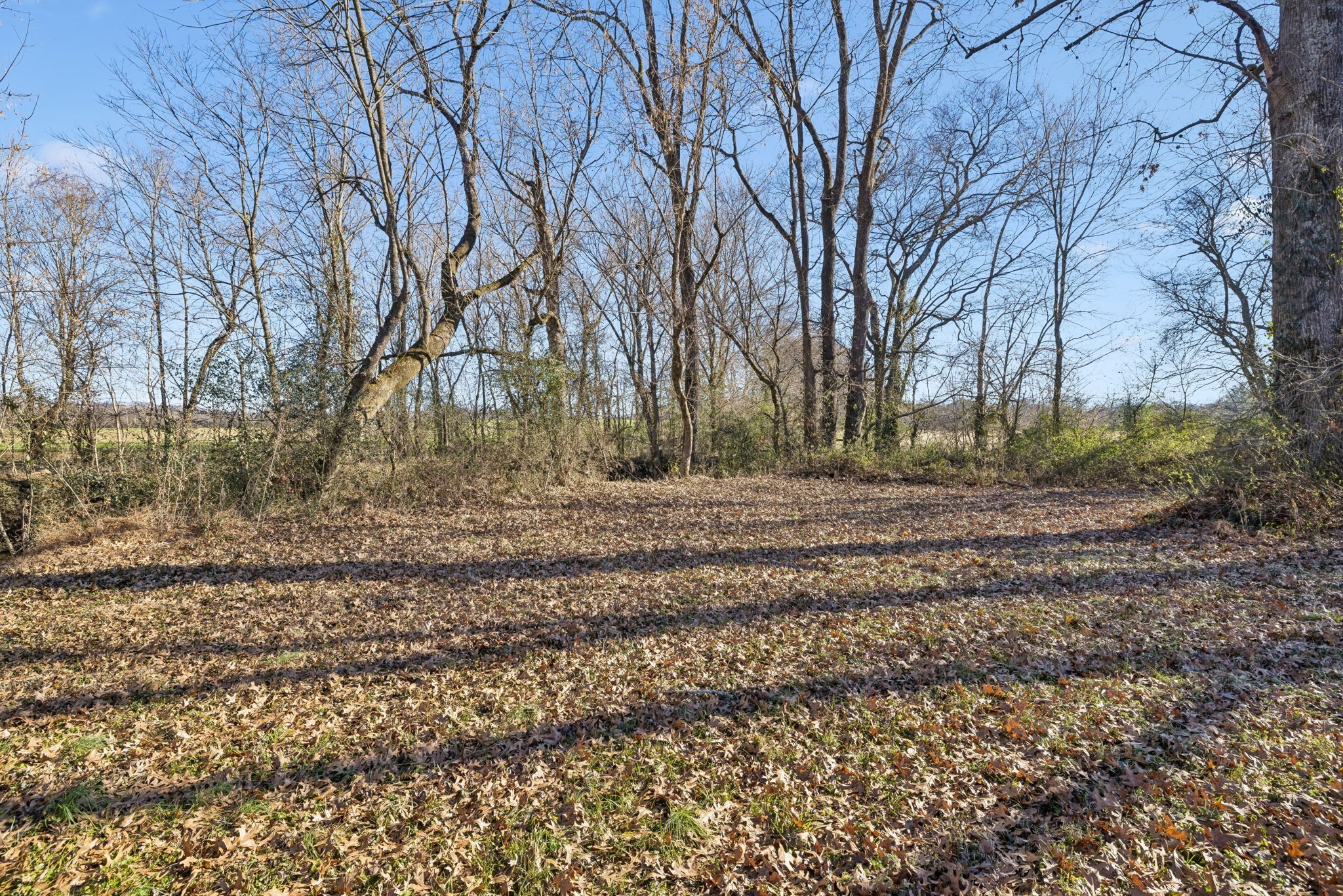 0 Buck Matthews Road Culleoka, TN 38451 - Photo 17 of 69 a backyard of a house with lots of green space