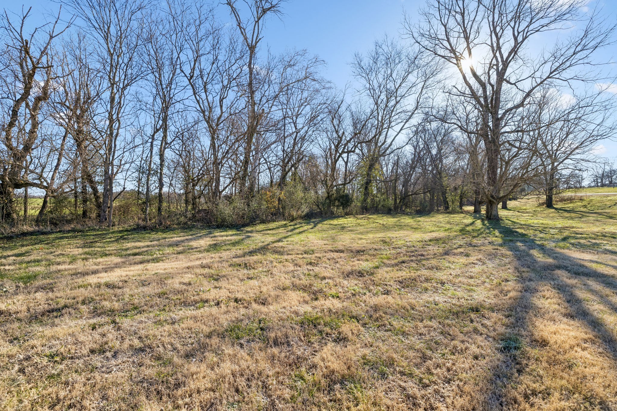 0 Buck Matthews Road Culleoka, TN 38451 - Photo 19 of 69 a view of a yard with a tree