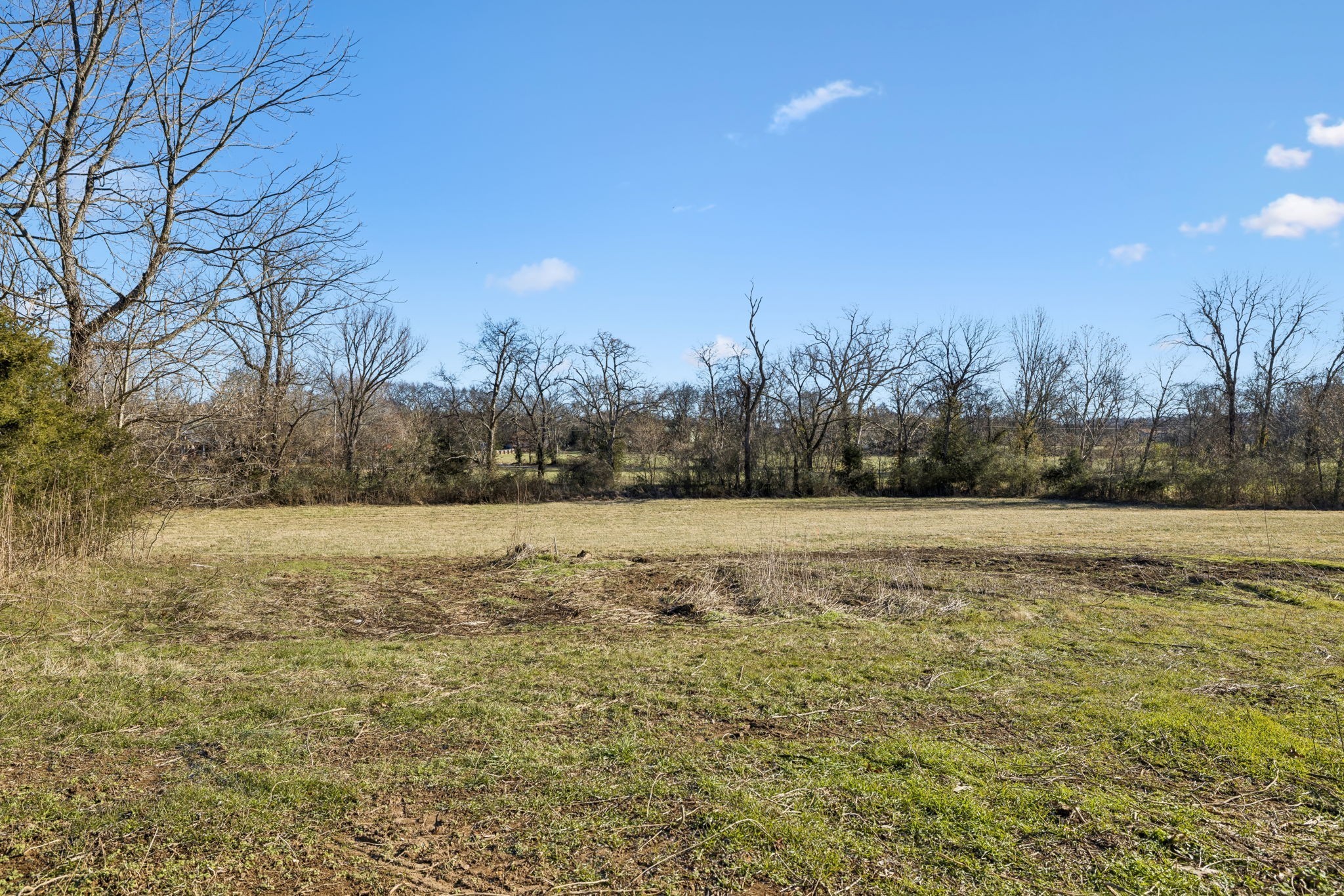 0 Buck Matthews Road Culleoka, TN 38451 - Photo 20 of 69