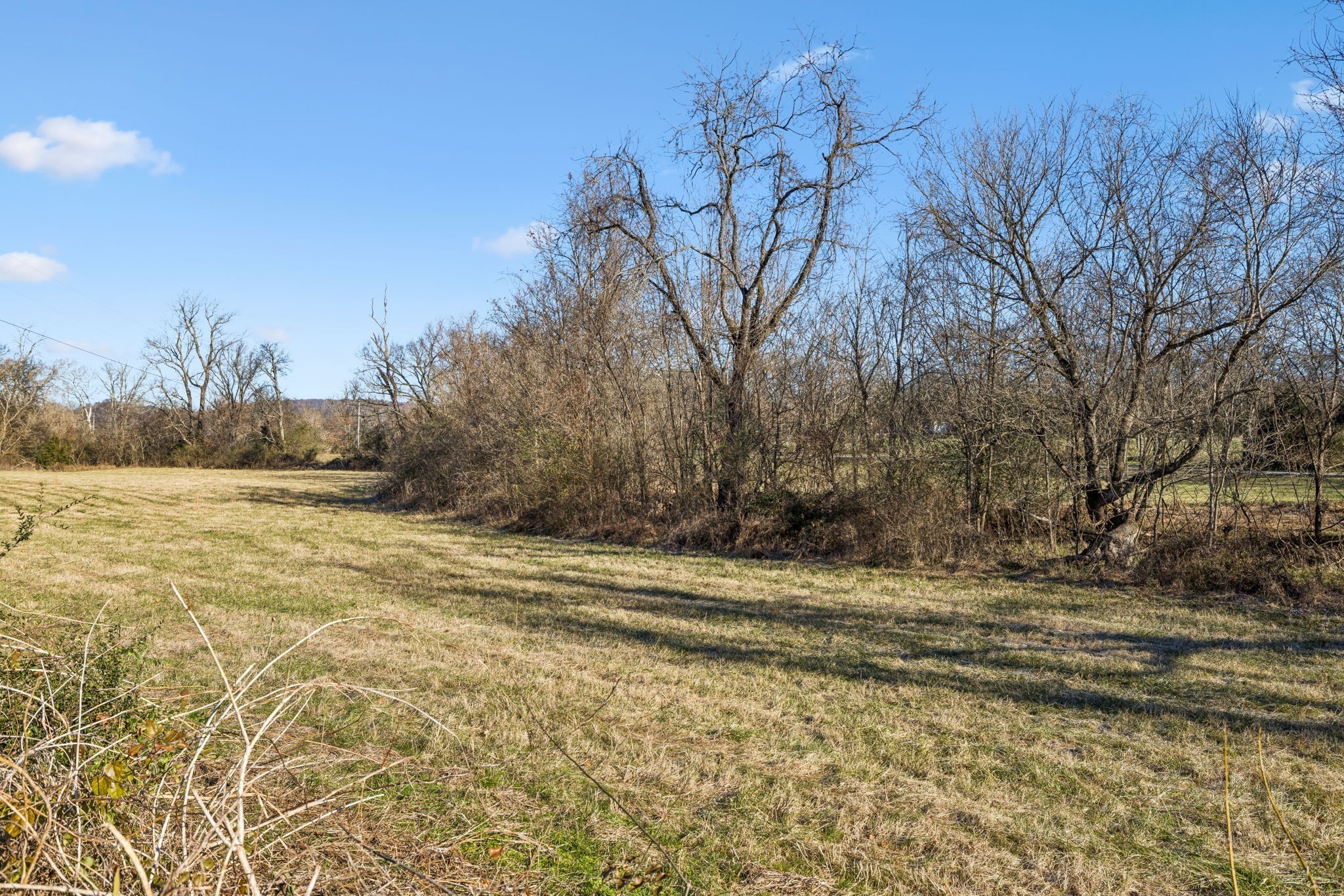 0 Buck Matthews Road Culleoka, TN 38451 - Photo 22 of 69 a view of a yard with large trees