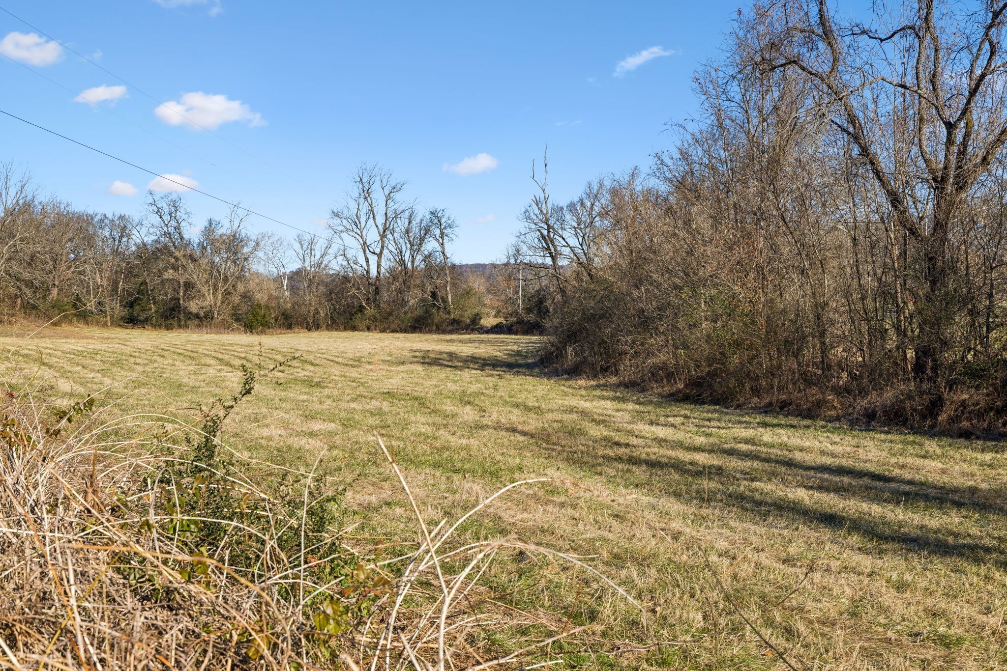 0 Buck Matthews Road Culleoka, TN 38451 - Photo 23 of 69 a view of a yard with a house