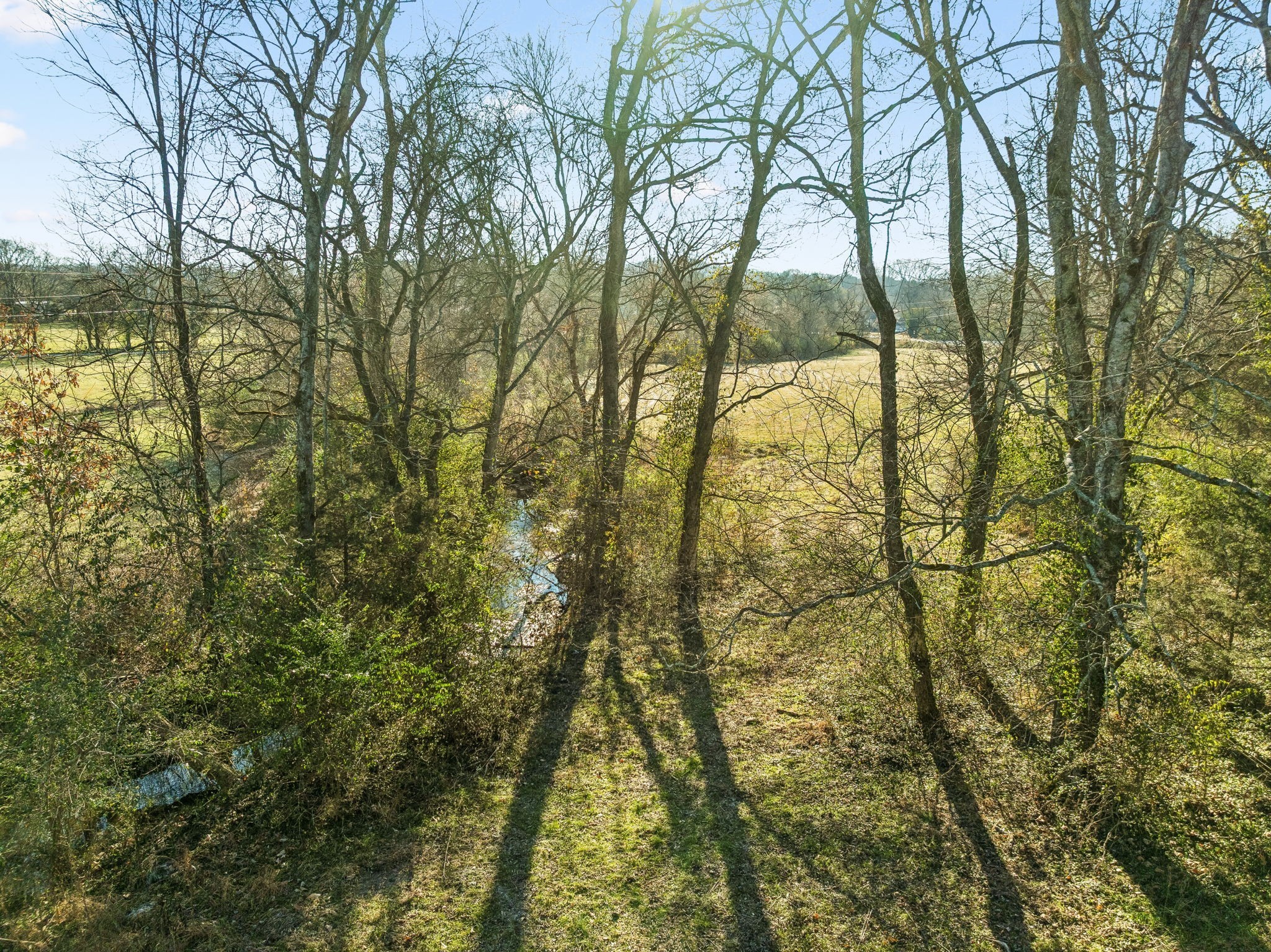 0 Buck Matthews Road Culleoka, TN 38451 - Photo 4 of 69