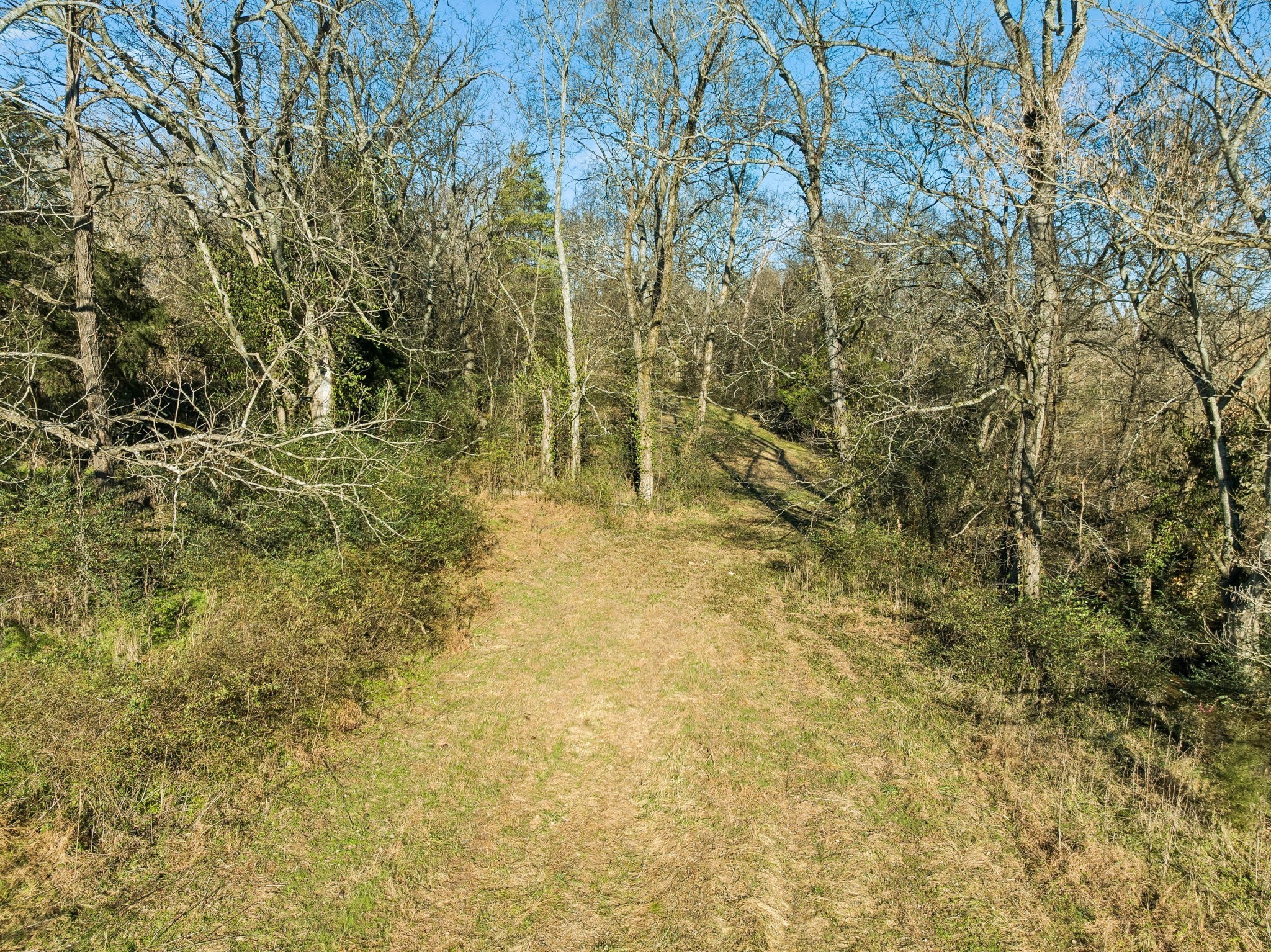 0 Buck Matthews Road Culleoka, TN 38451 - Photo 6 of 69