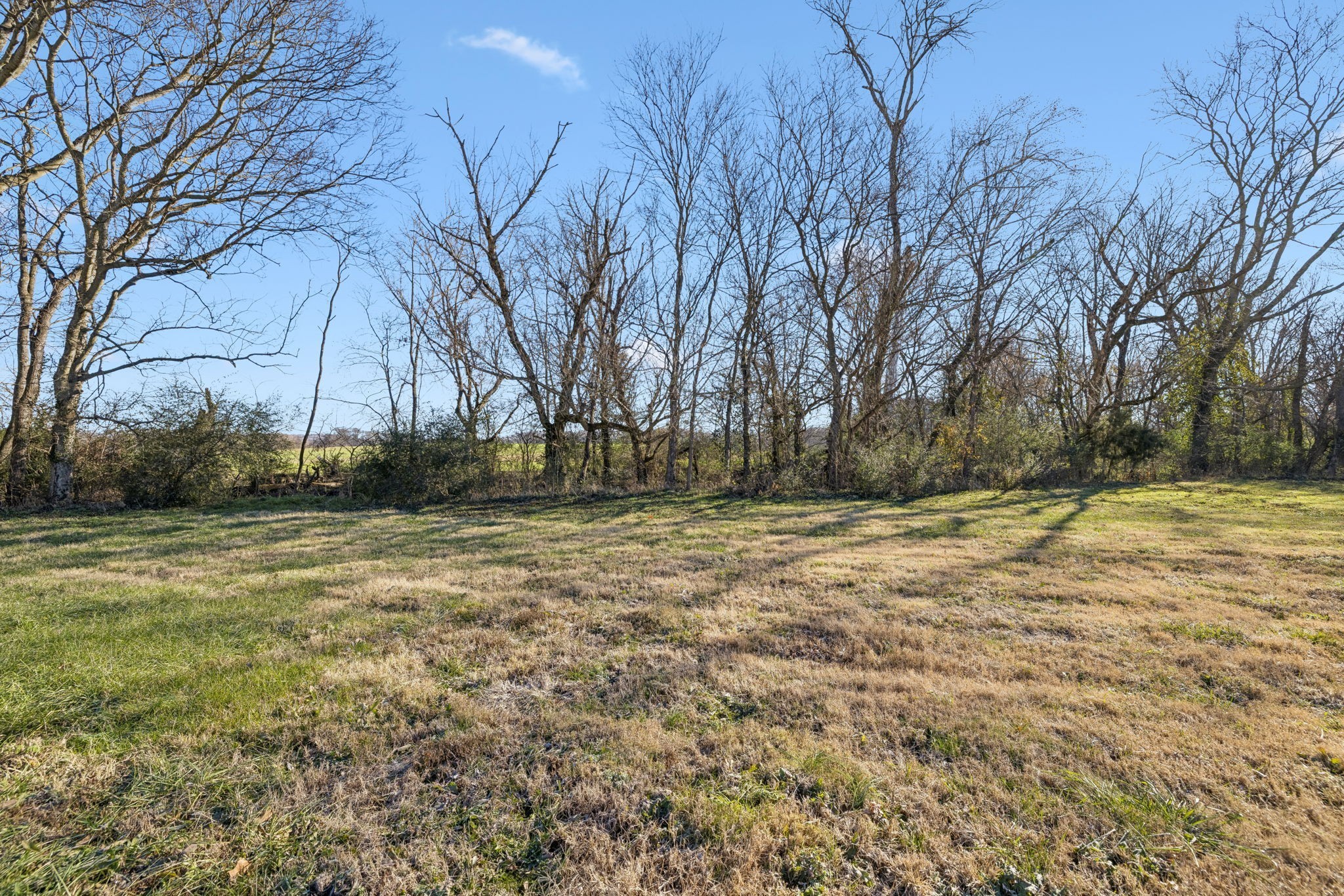 0 Buck Matthews Road Culleoka, TN 38451 - Photo 8 of 69 a view of yard covered with trees