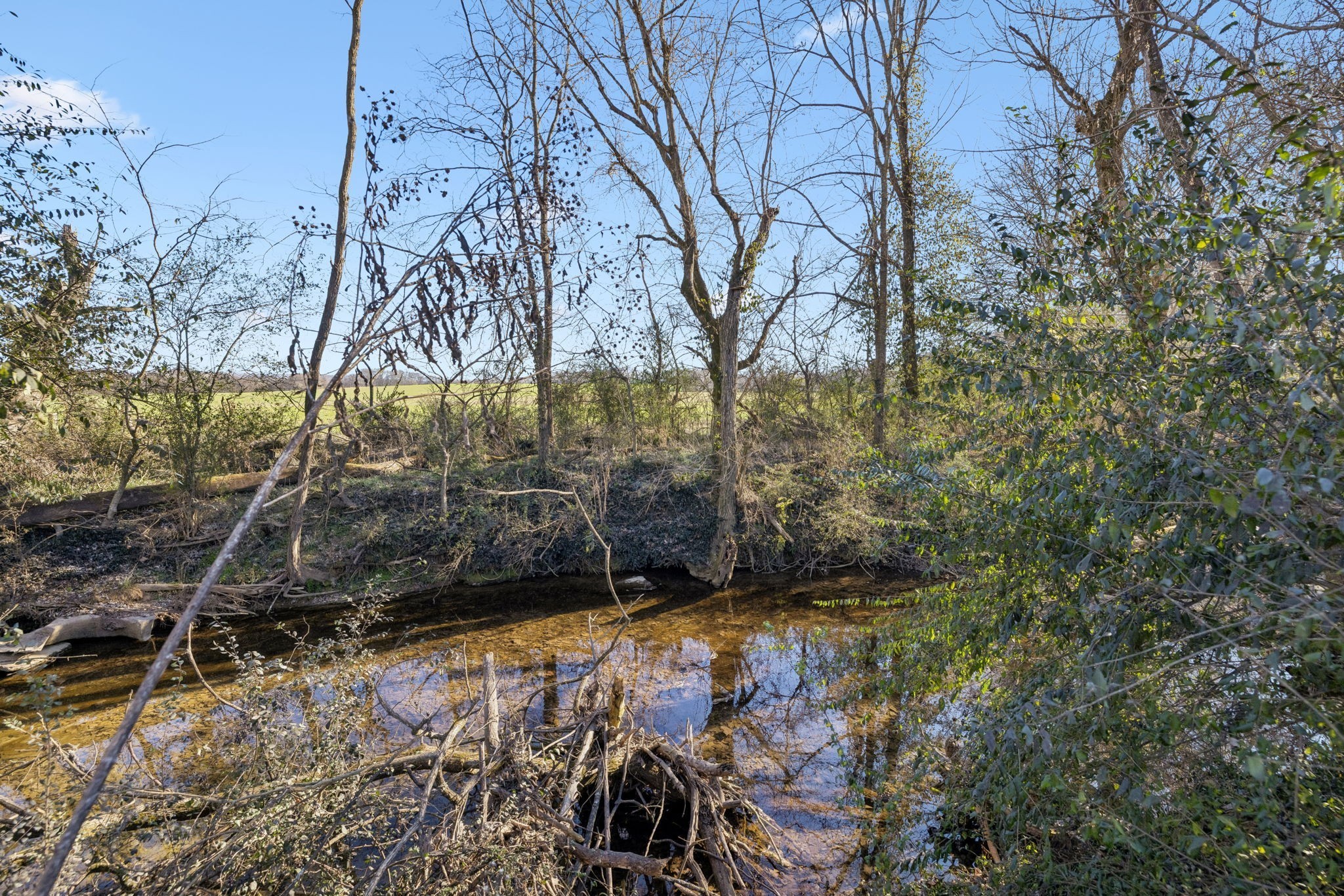 0 Buck Matthews Road Culleoka, TN 38451 - Photo 9 of 69