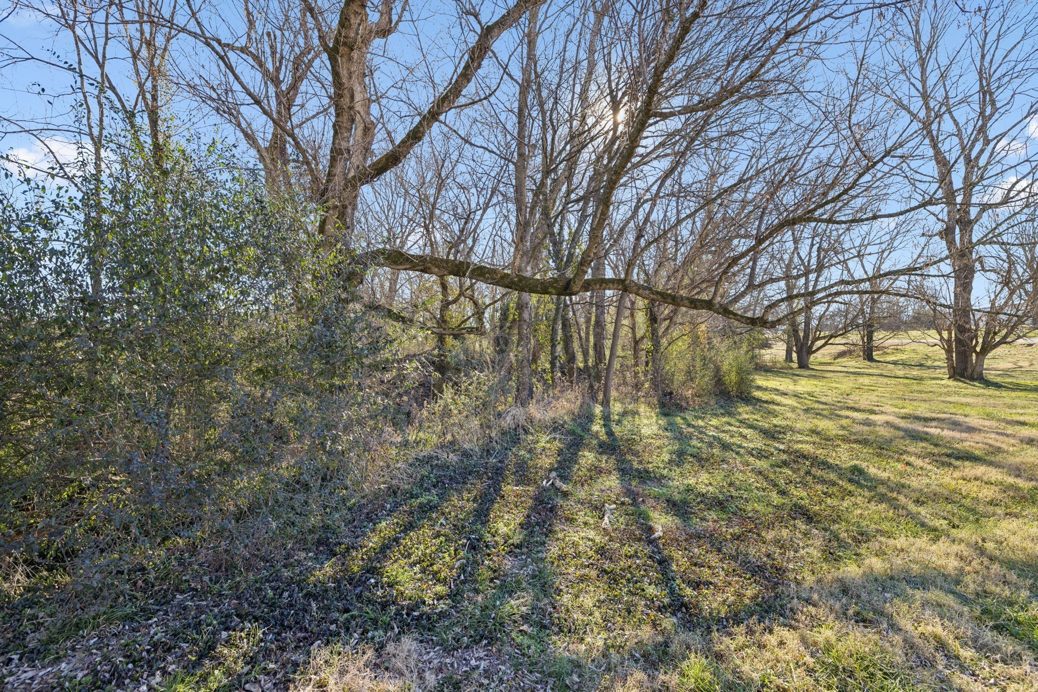 0 Buck Matthews Road Culleoka, TN 38451 - Photo 10 of 69 a view of yard covered with snow