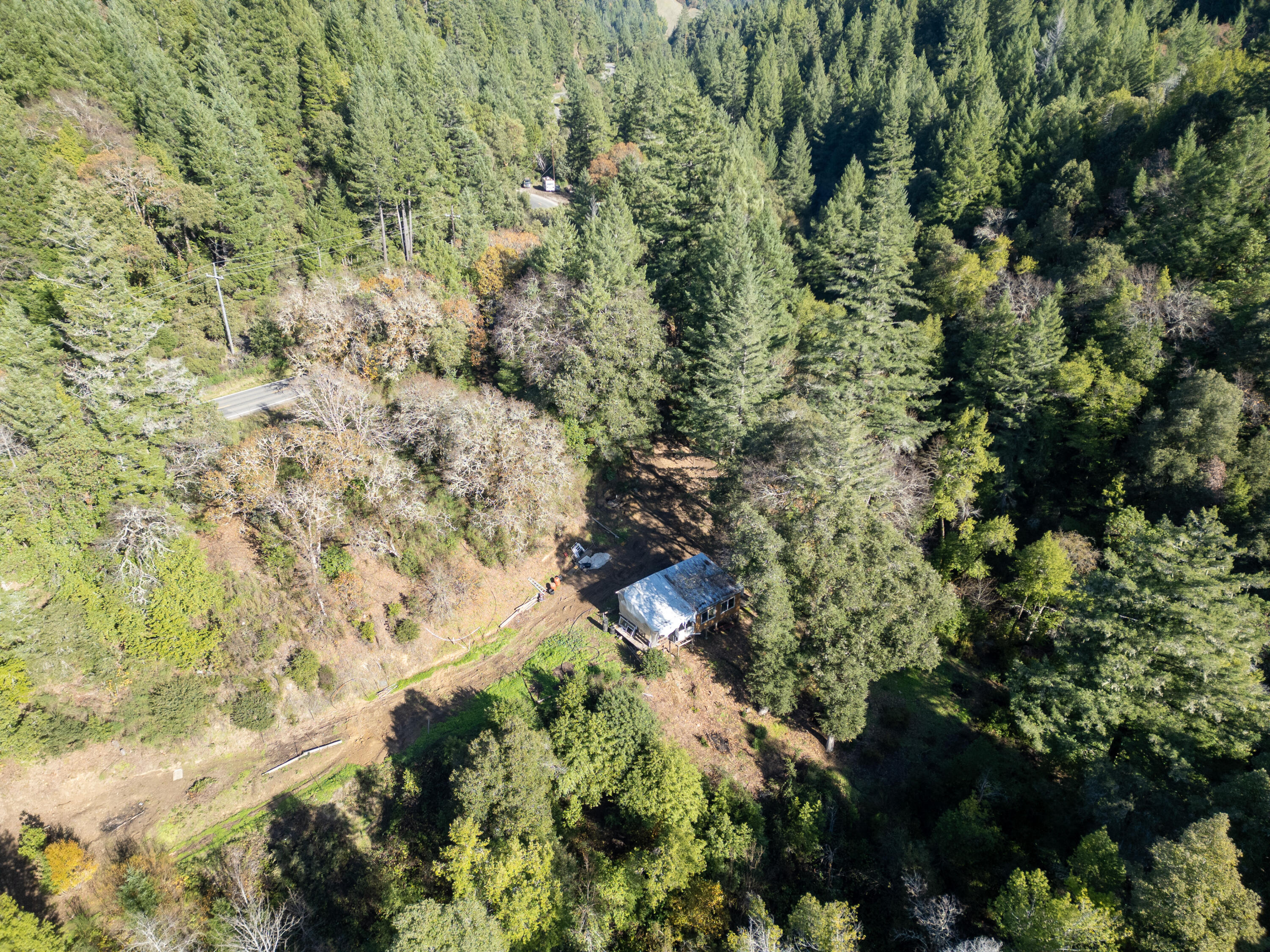 5200 Briceland Road Redway, CA 95560 - Photo 4 of 31