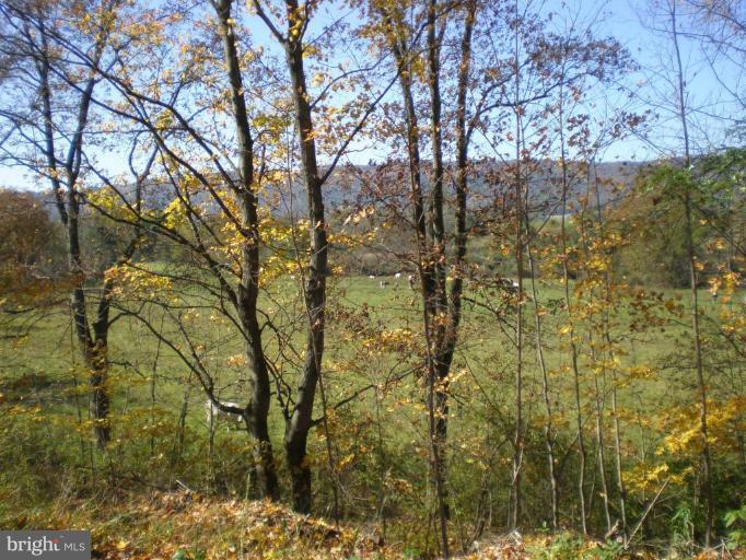 18152 Spring Run Road Dry Run, PA 17220 - Photo 22 of 29 a view of a yard