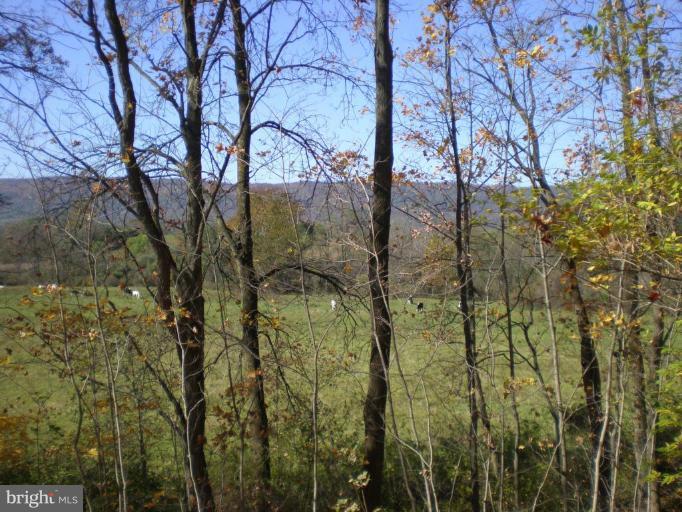 18152 Spring Run Road Dry Run, PA 17220 - Photo 23 of 29 a view of a forest that has a tree