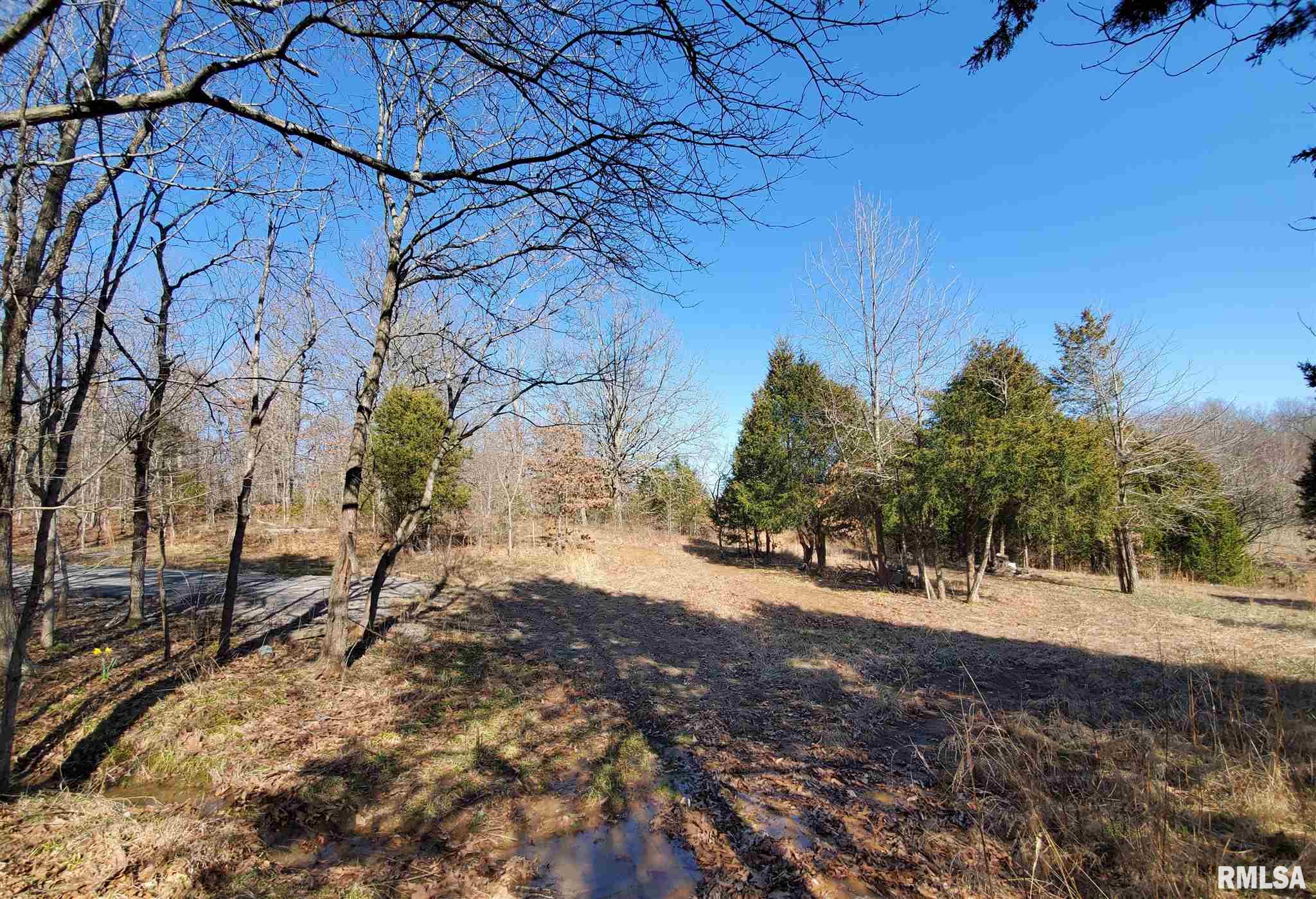 2080 Tyler Bridge Road Creal Springs, IL 62922 - Photo 9 of 42