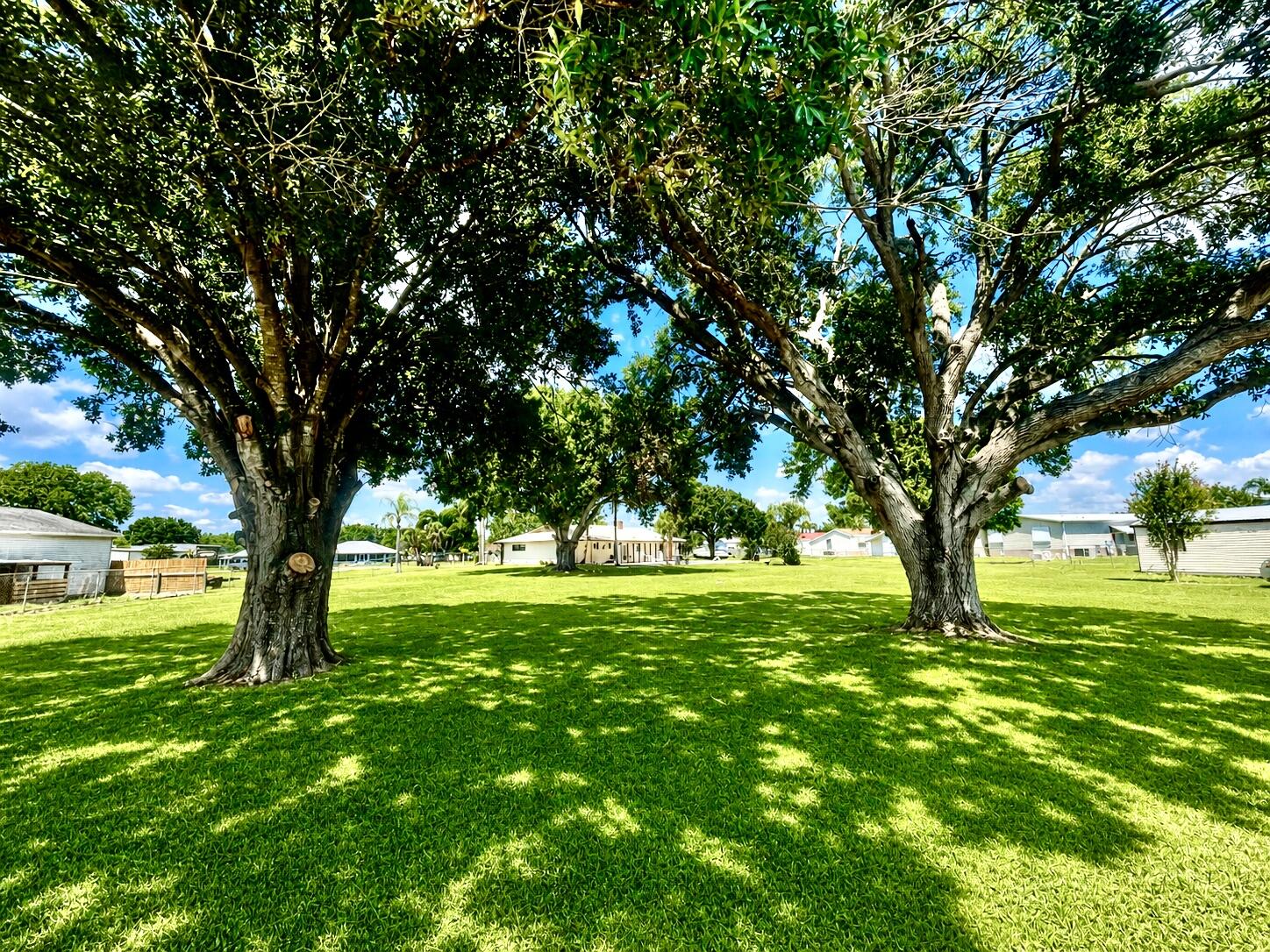3856 Southwest 11th Avenue Okeechobee, FL 34974 - Photo 37 of 42 Backyard