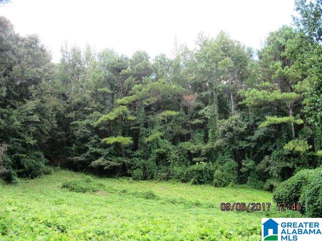 0 State Lake Road, Unit 31 ACRES Lineville, AL 36266 - Photo 12 of 15