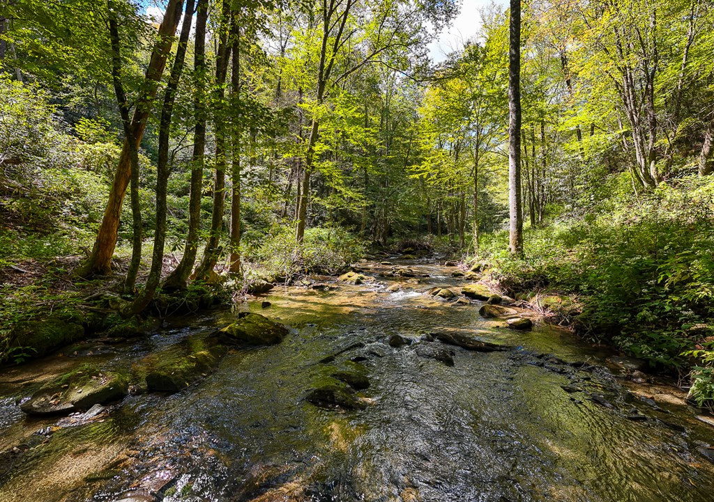 9765 Little Snowbird Road Robbinsville, NC 28771 - Photo 6 of 34