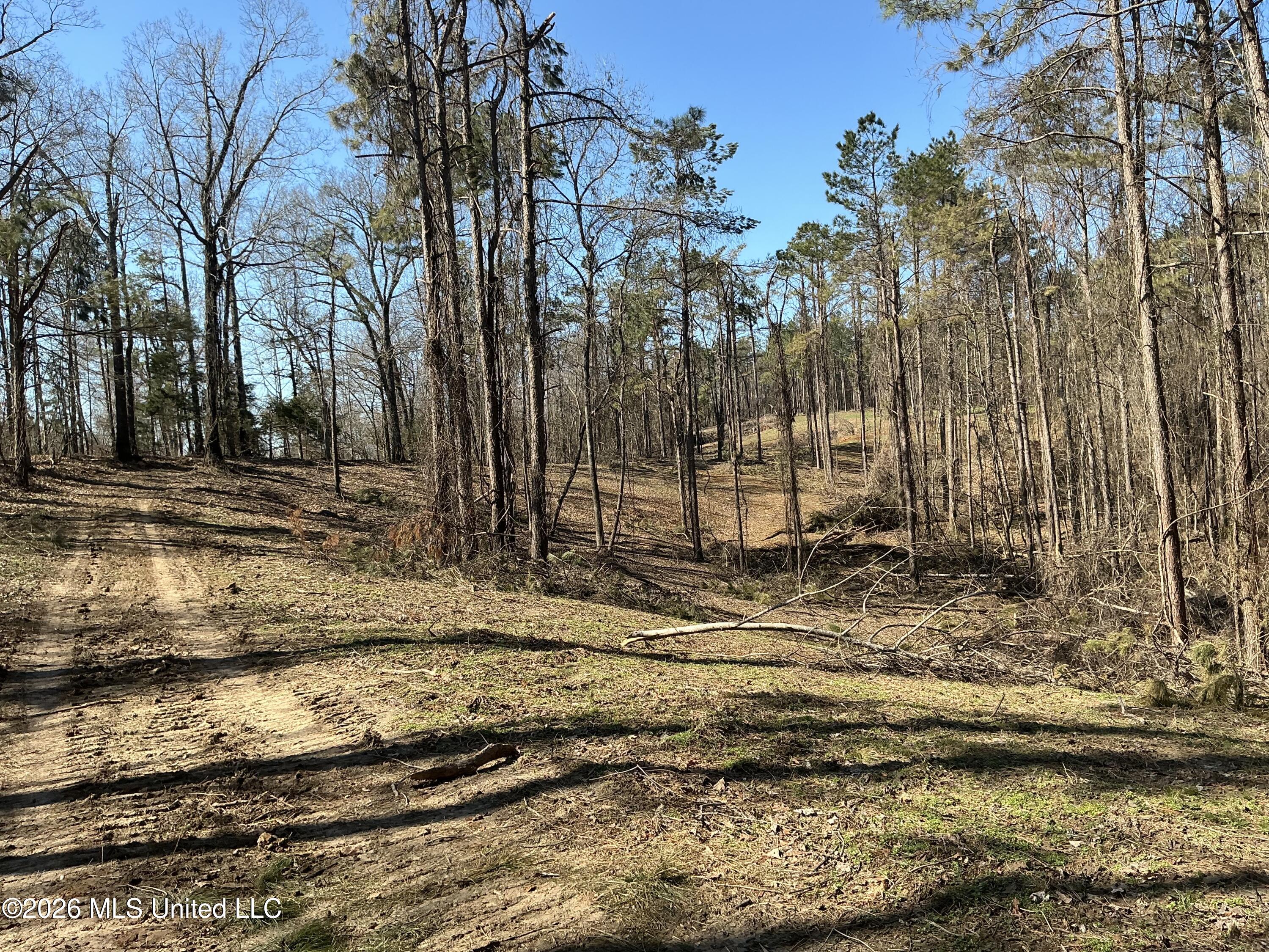 Norwood Road Carrollton, MS 38917 - Photo 15 of 28 IMG_0664