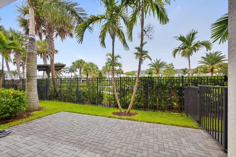 a view of a yard with potted plants
