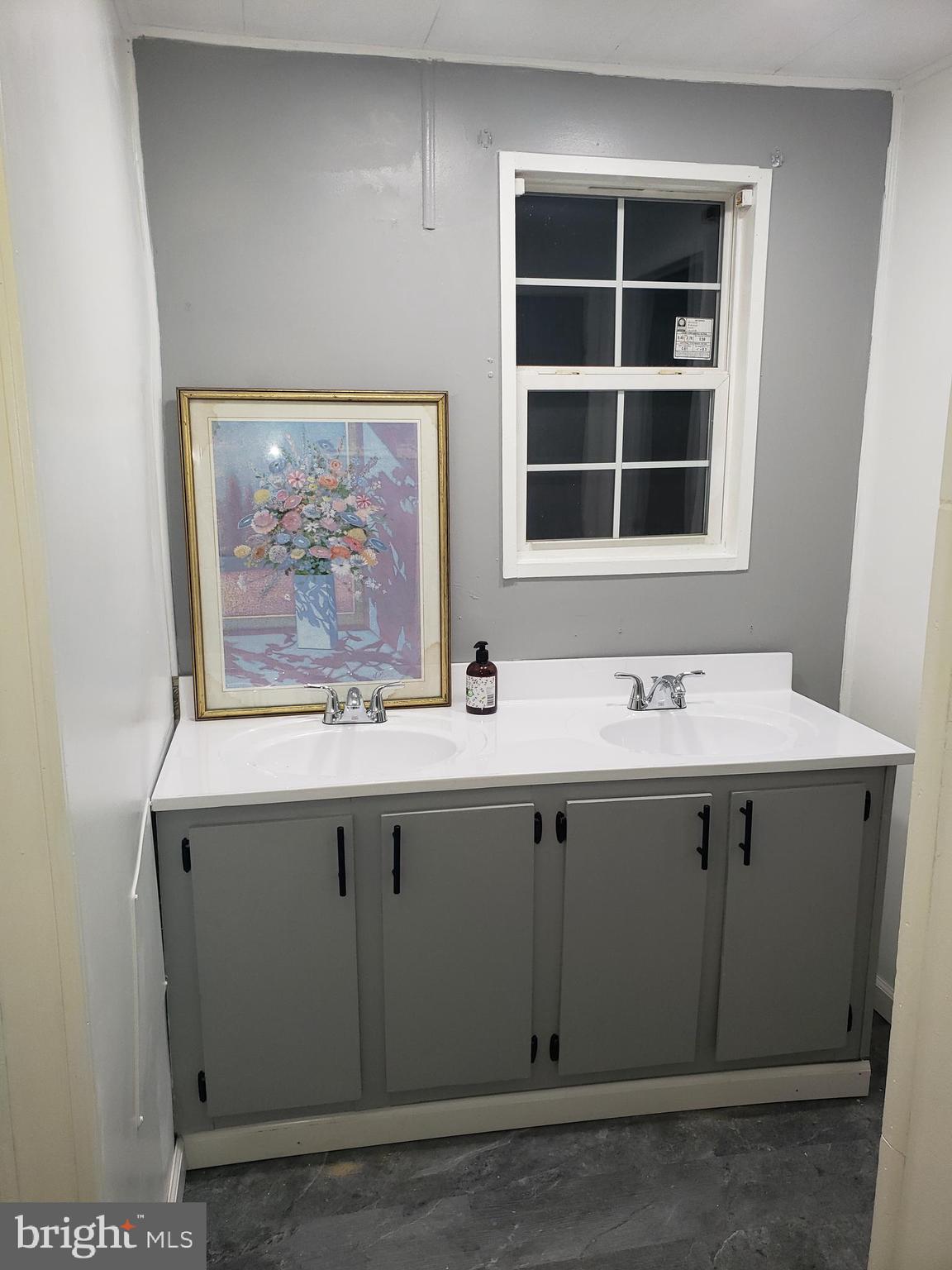 203 Rife Road, Unit 10 East Berlin, PA 17316 - Photo 21 of 24 Bathroom double bowl sink
