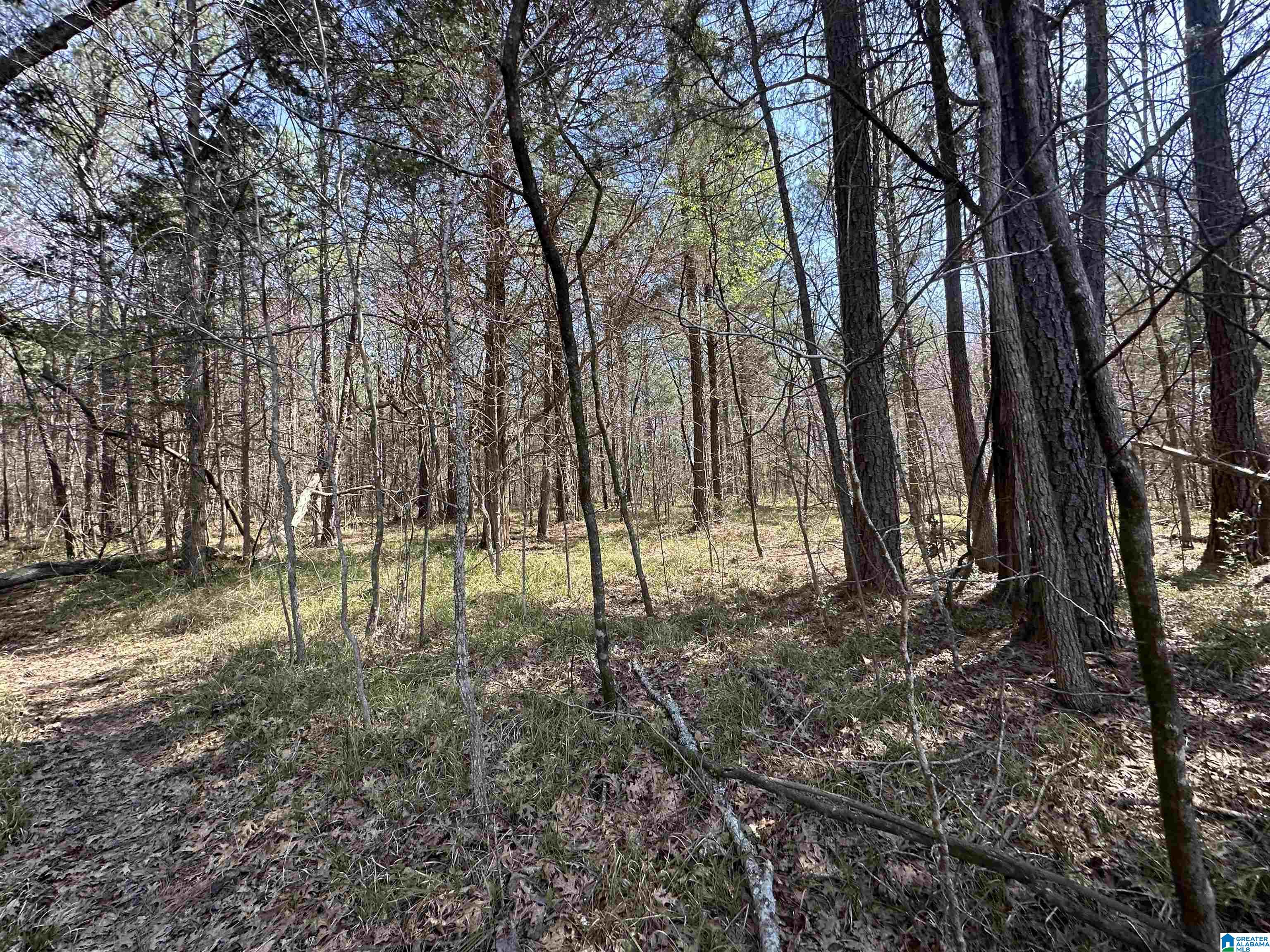 2560 Slasham Road Ashville, AL 35953 - Photo 67 of 77