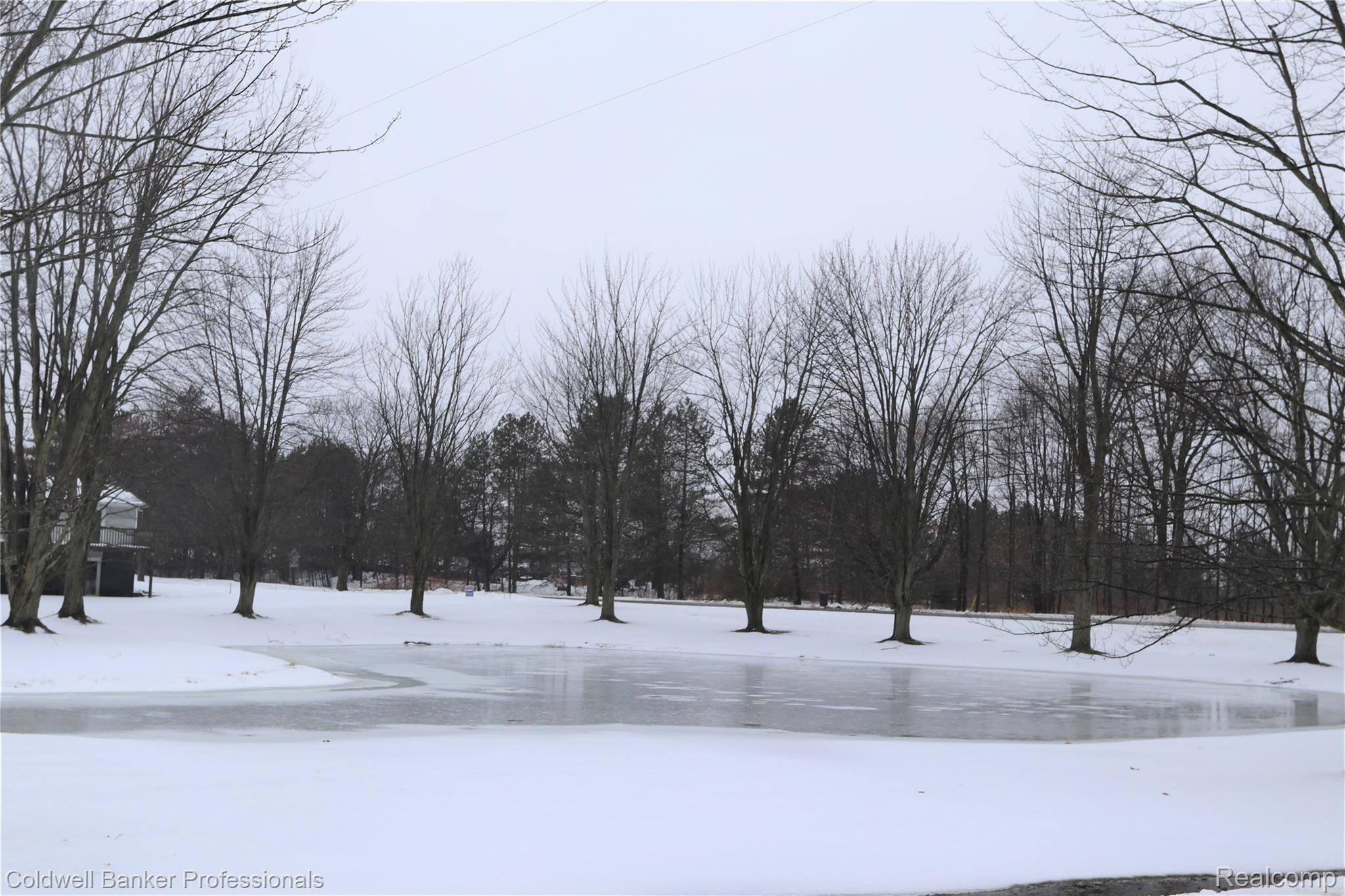 1490 Lansing Road Morrice, MI 48857 - Photo 23 of 28 23 1490 pond.JPG