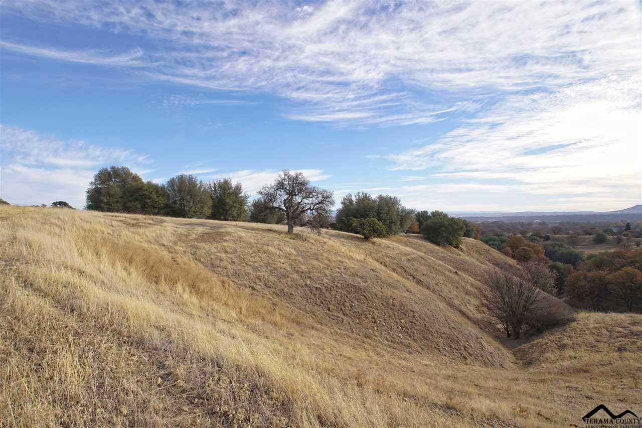 1 Riverview Ranch Road Red Bluff, CA 96080 - Photo 54 of 55 Gallery Image 54