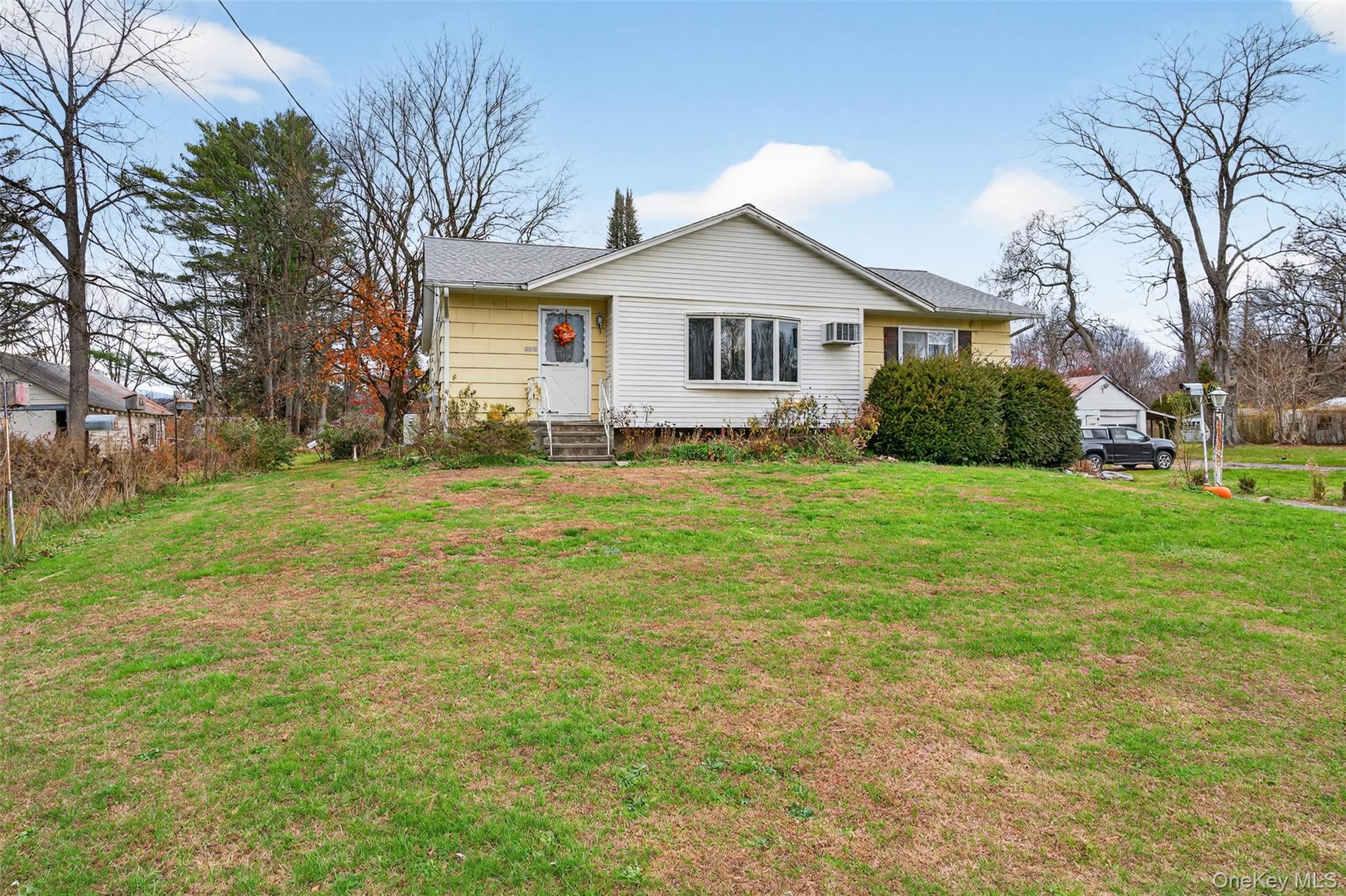 a front view of a house with yard and green space