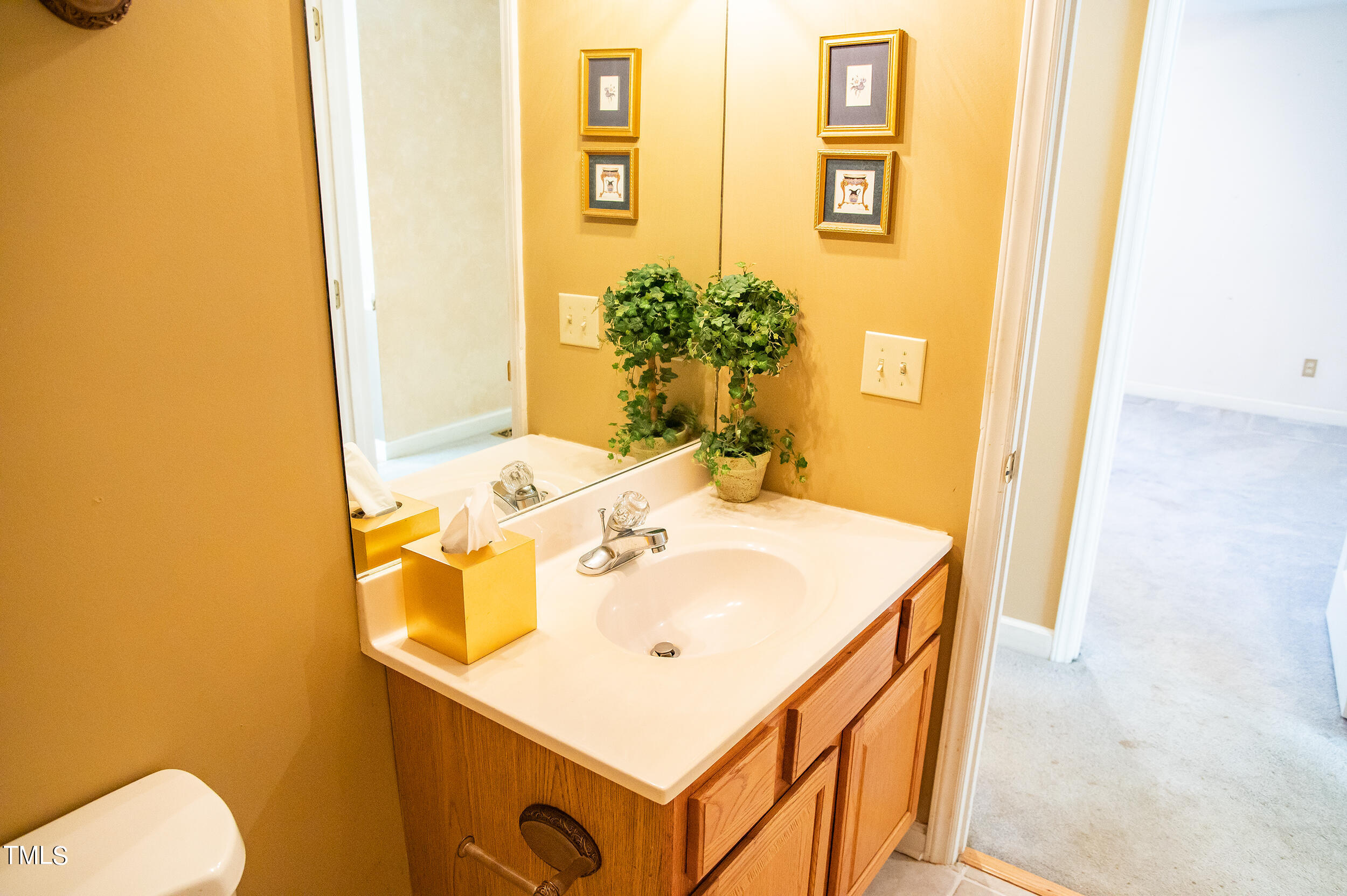 5 Banbury Drive Roxboro, NC 27573 - Photo 25 of 66 a bathroom with a sink and a mirror