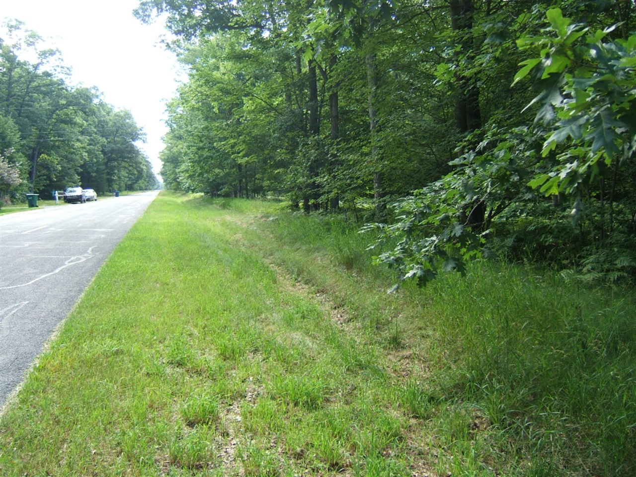 West Bard Road Whitehall, MI 49461 - Photo 6 of 8