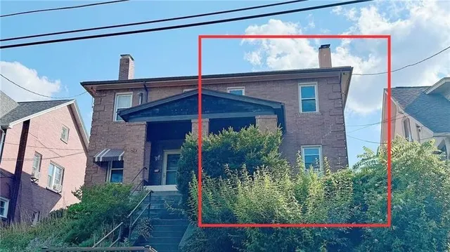 a view of a yard with a tree