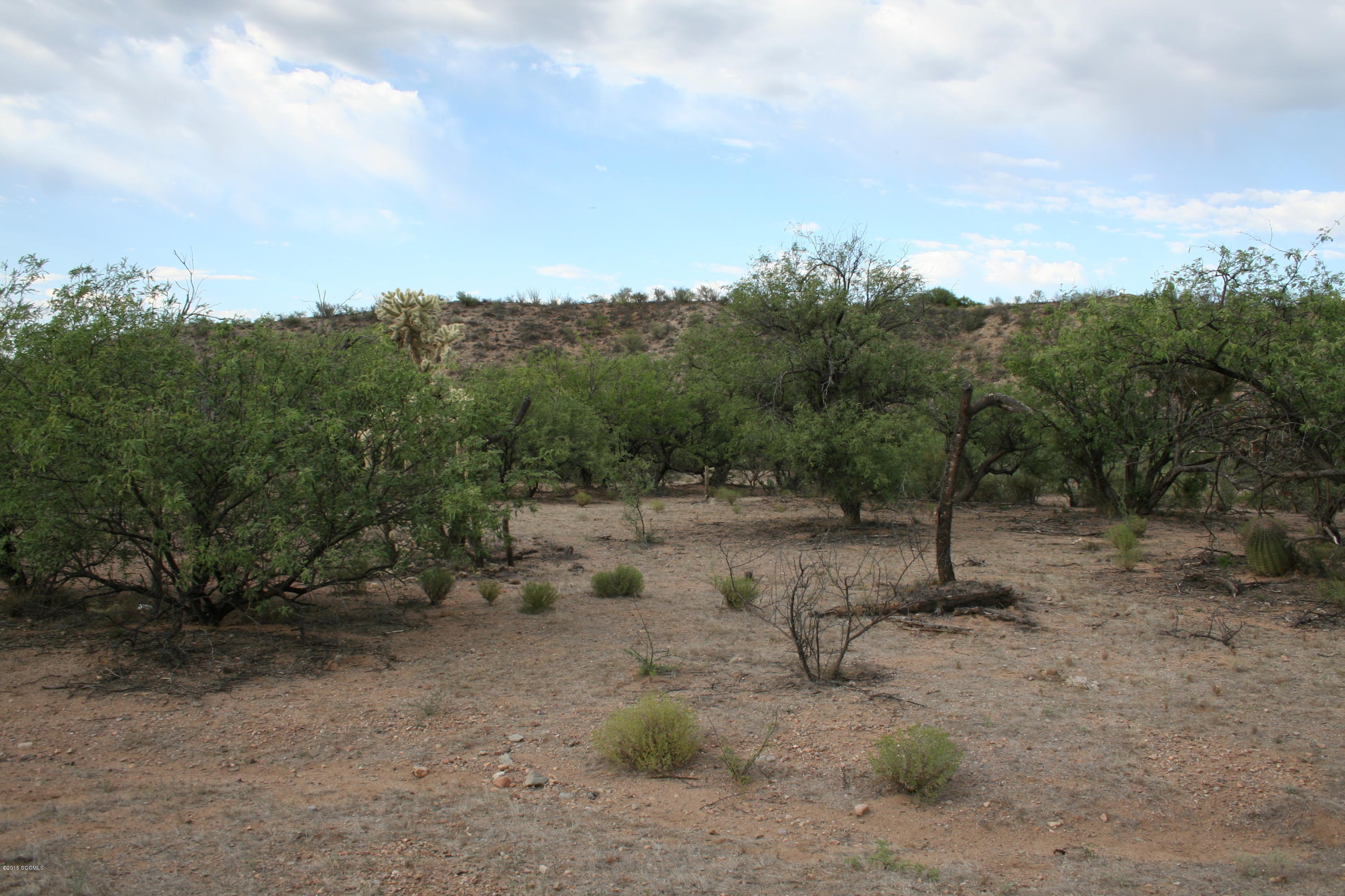 Tbd Tbd Chavez Siding Road, Unit 3 Tubac, AZ 85646 - Photo 6 of 10 IMG_3839