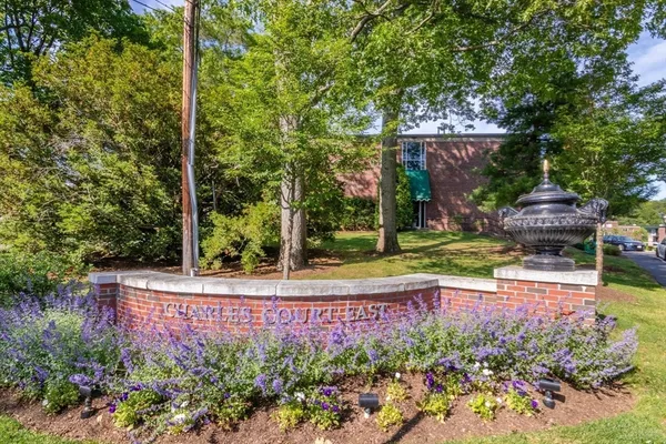 a view of a backyard with garden