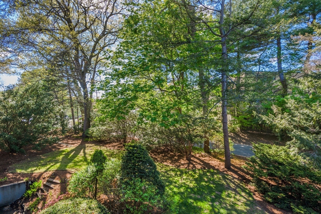 1202 Greendale Avenue, Unit 124 Needham, MA 02492 - Photo 7 of 18