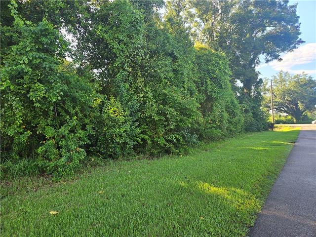15411 River Road Hahnville, LA 70057 - Photo 11 of 13 Gallery Image 11