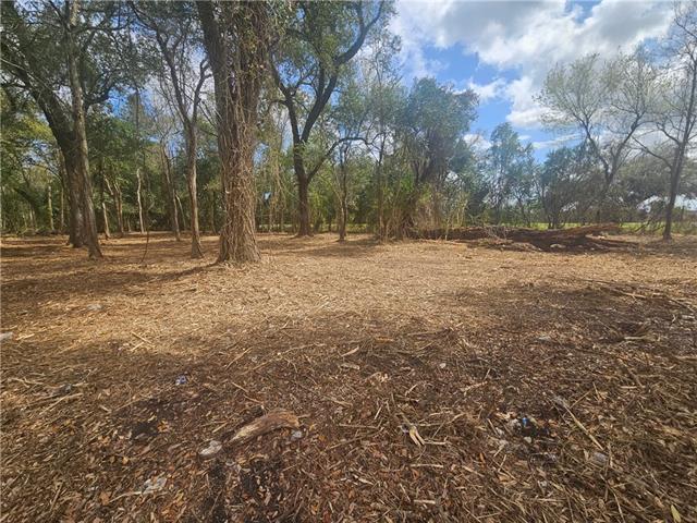 15411 River Road Hahnville, LA 70057 - Photo 2 of 13 Gallery Image 2
