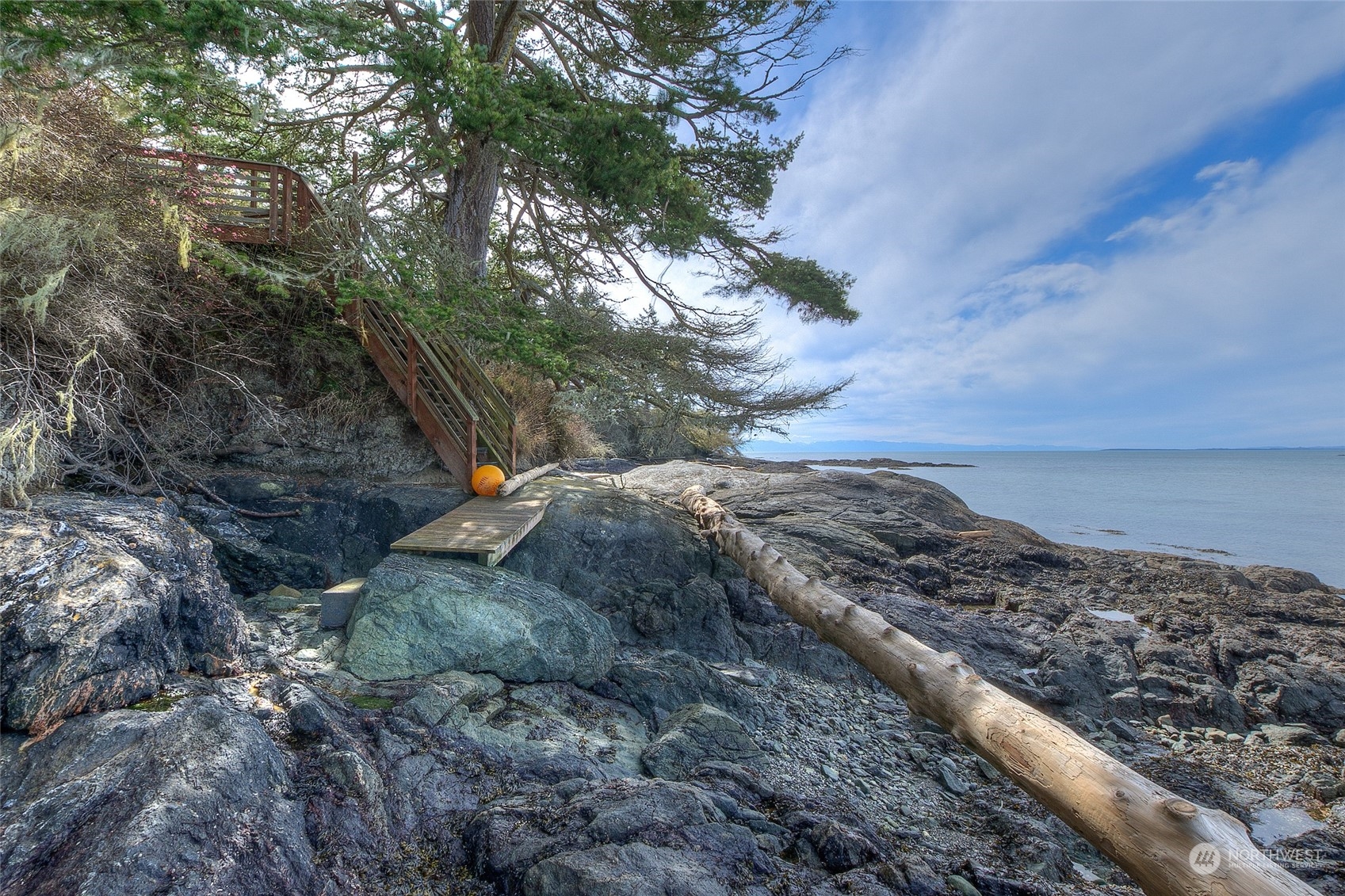 265 Rainshadow Road San Juan Island, WA 98250 - Photo 8 of 40 a view of a dry yard with lots of bushes