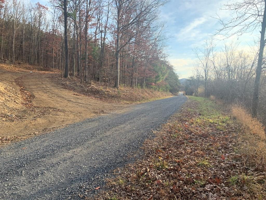 Lot I Clear Ridge Road Clearville, PA 15535 - Photo 21 of 24