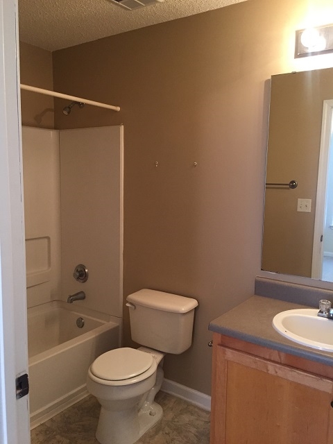 1632 Harts Ridge Drive Seneca, SC 29678 - Photo 7 of 12 Gallery Image 7