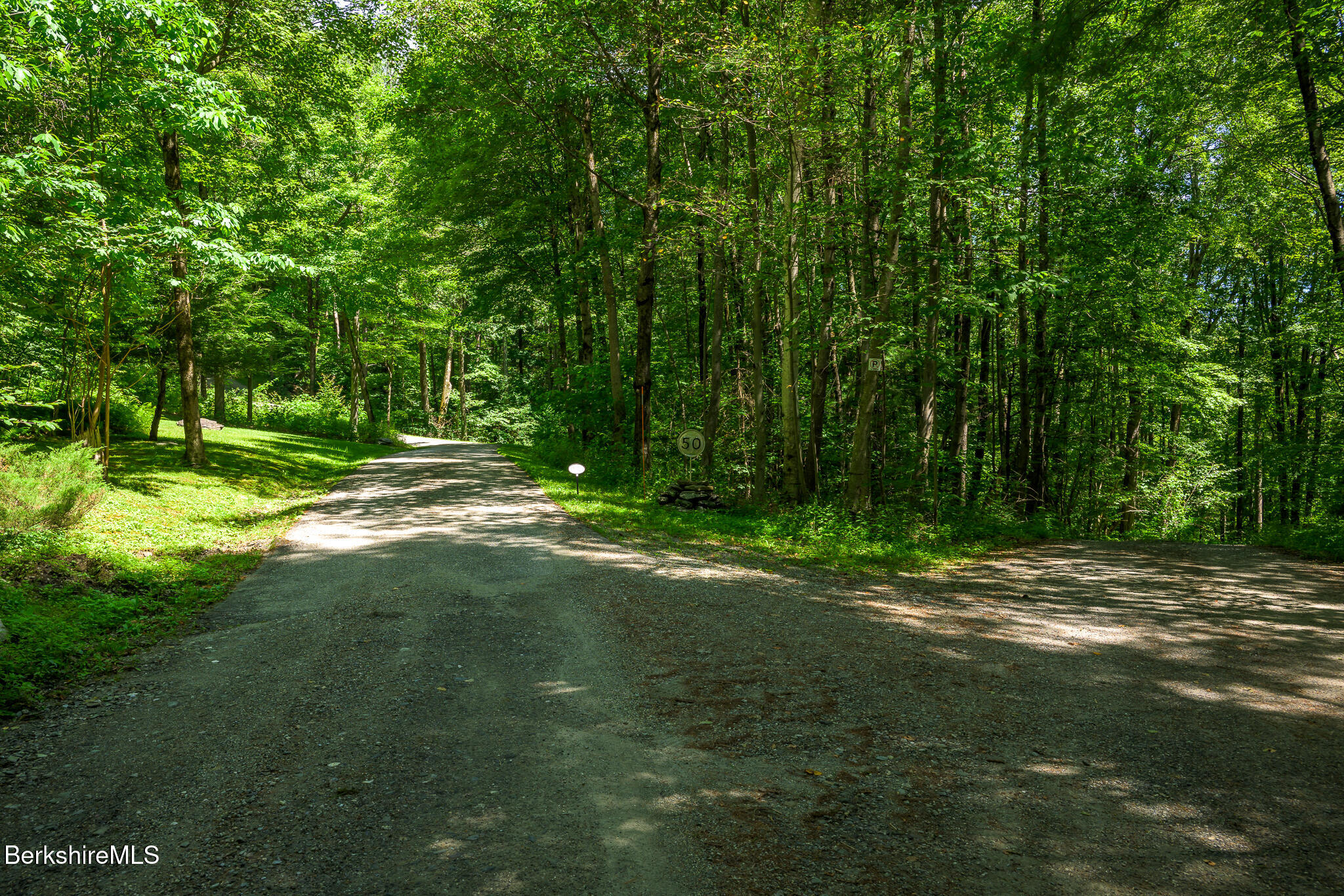 50 Old Village Road Alford, MA 01230 - Photo 3 of 66 a view of a tree in a yard