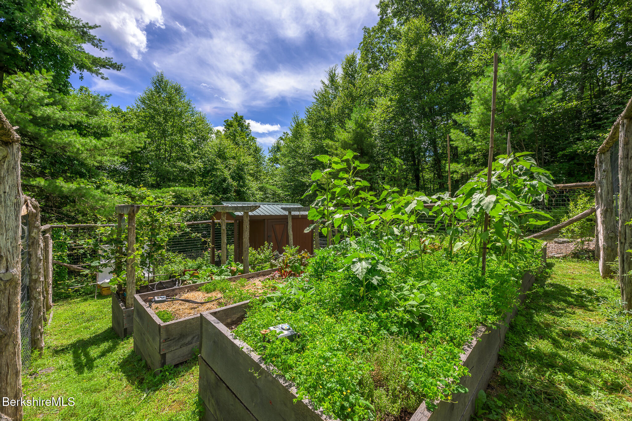 50 Old Village Road Alford, MA 01230 - Photo 58 of 66 Garden