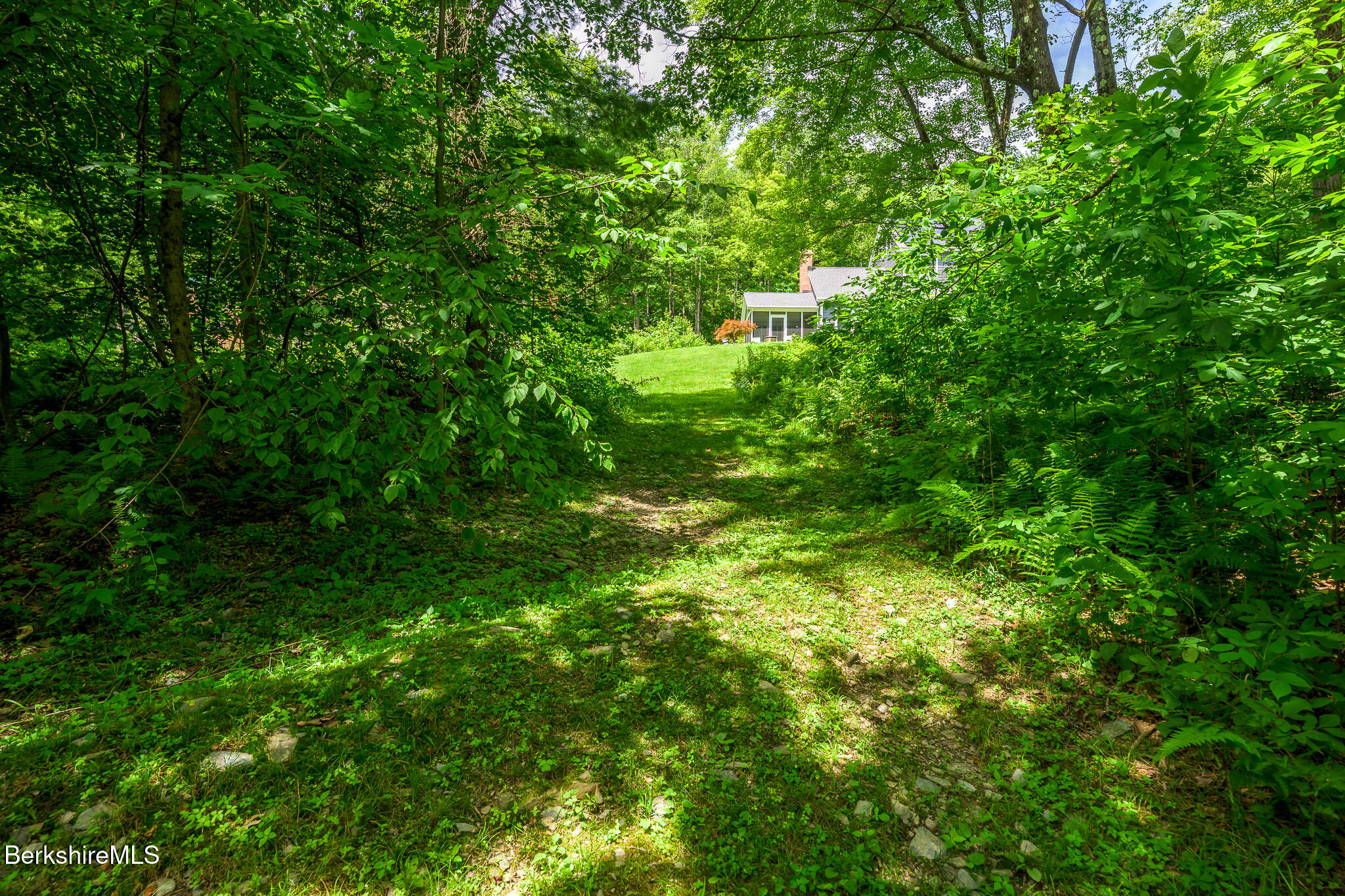 50 Old Village Road Alford, MA 01230 - Photo 63 of 66 a backyard of a house with lots of trees
