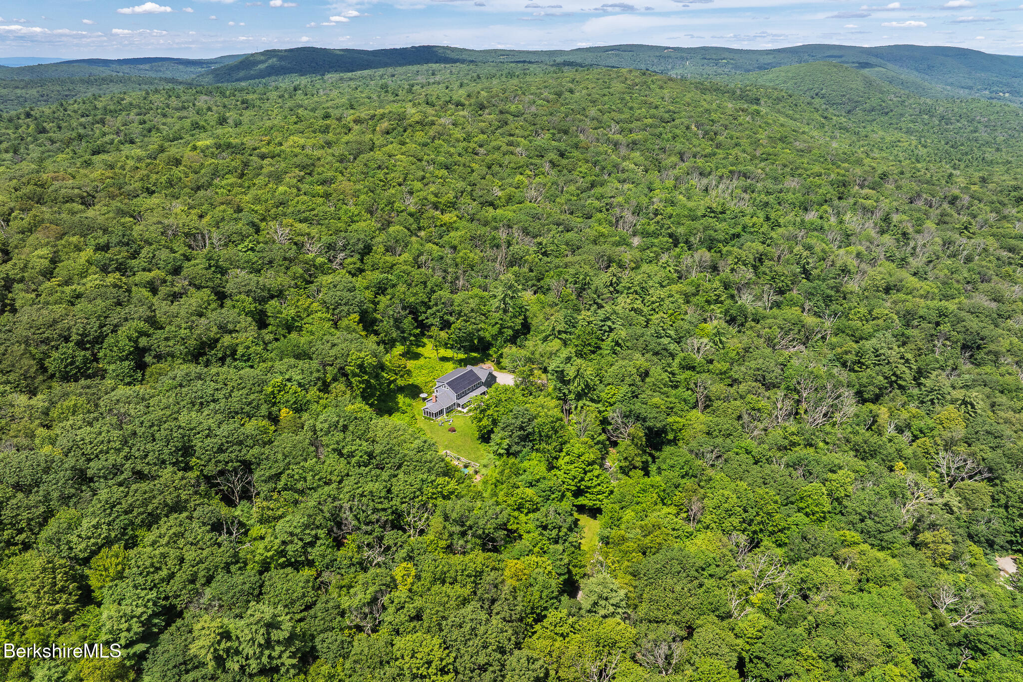 50 Old Village Road Alford, MA 01230 - Photo 64 of 66 a view of a big yard with plants and large trees