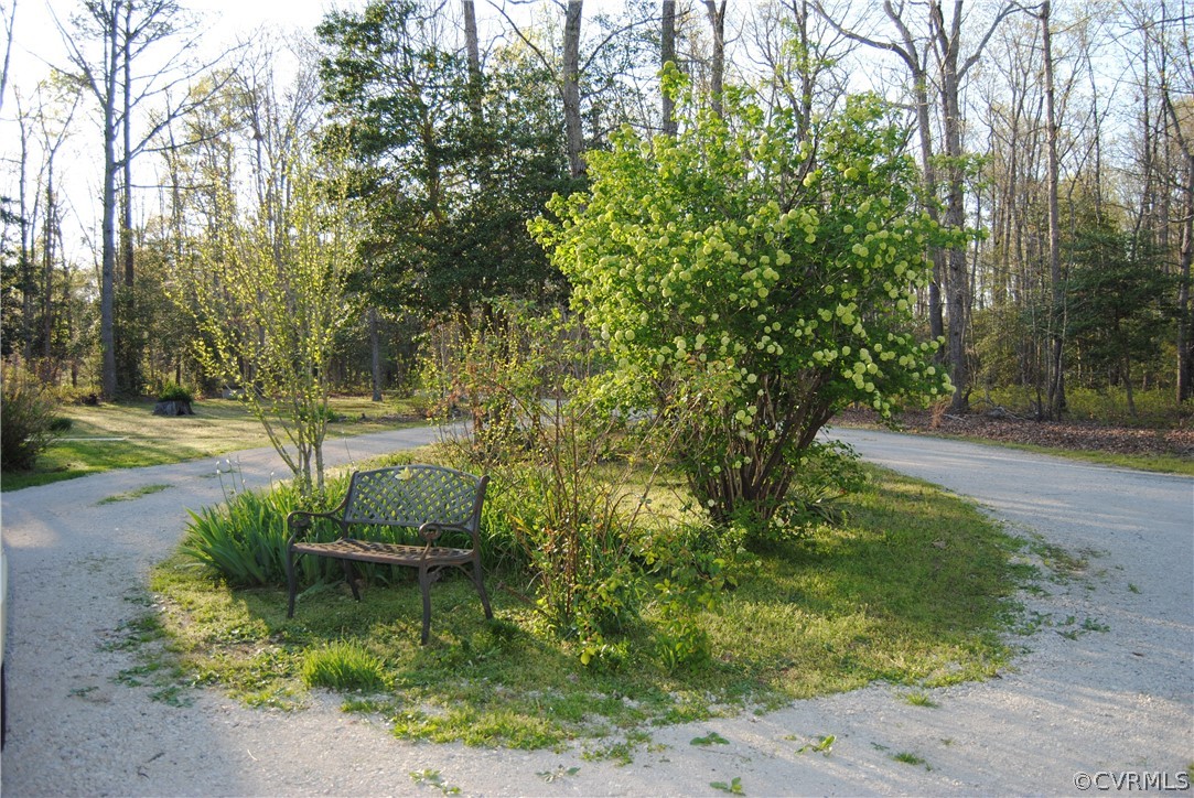 28341 Edgar Road Ruther Glen, VA 22546 - Photo 17 of 23