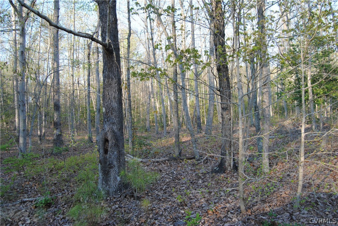 28341 Edgar Road Ruther Glen, VA 22546 - Photo 19 of 23