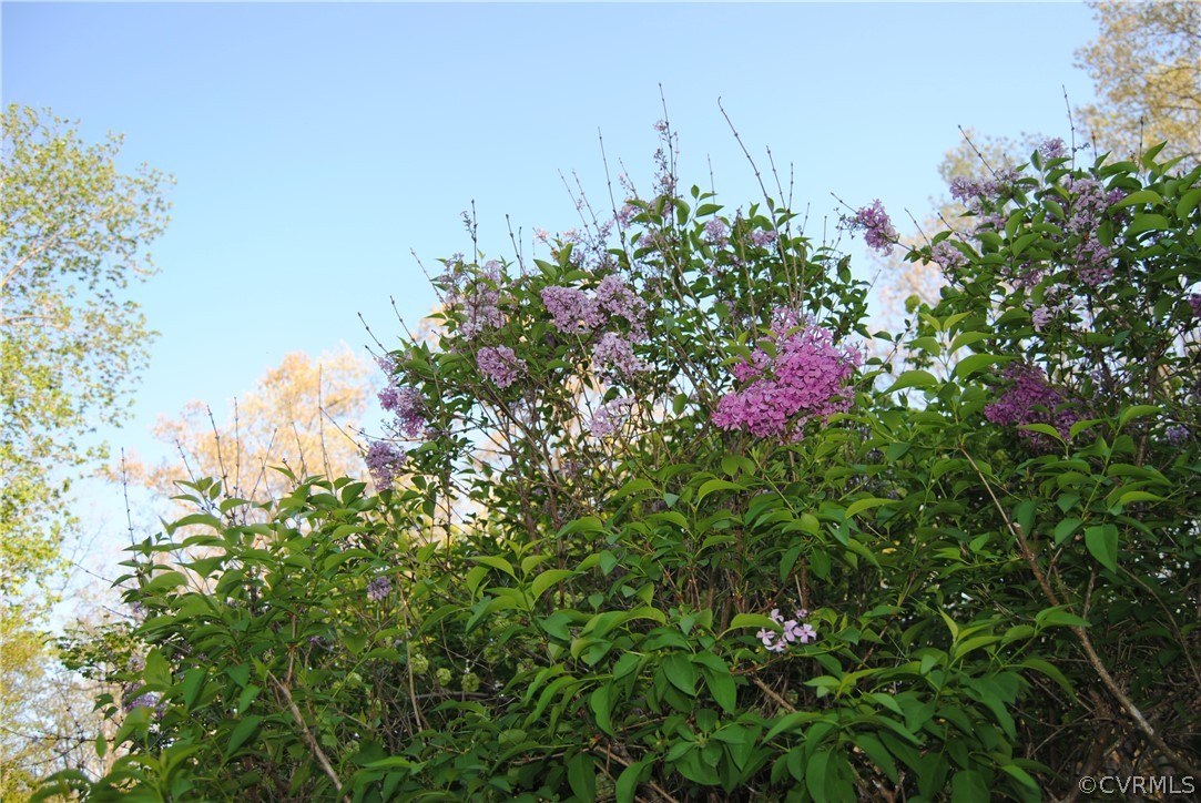 28341 Edgar Road Ruther Glen, VA 22546 - Photo 21 of 23