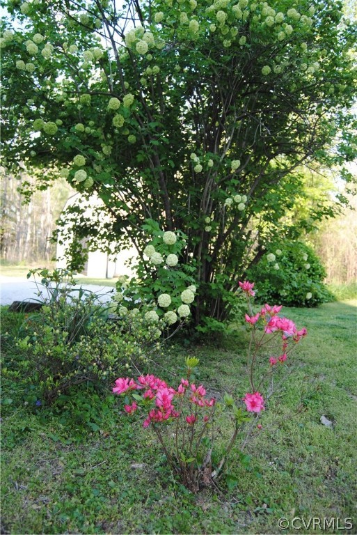 28341 Edgar Road Ruther Glen, VA 22546 - Photo 22 of 23