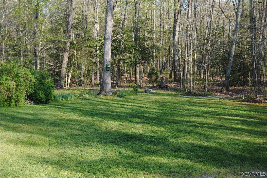 28341 Edgar Road Ruther Glen, VA 22546 - Photo 8 of 23