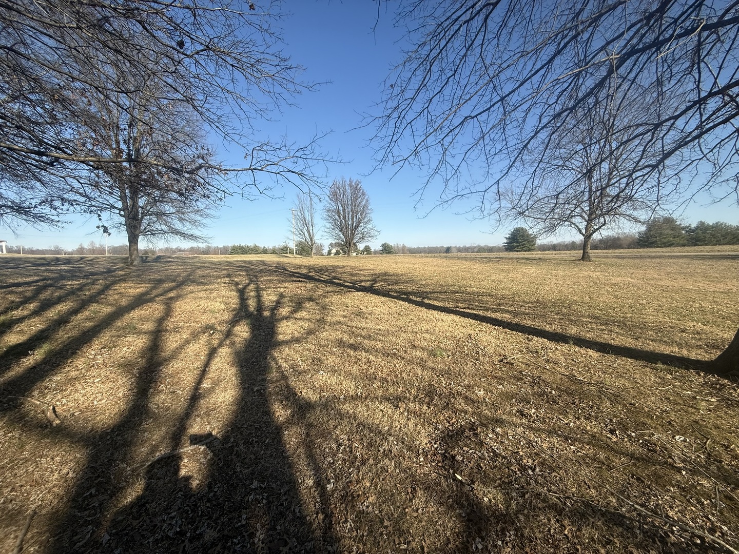 3675 Macedonia Road Metropolis, IL 62960 - Photo 17 of 50 a view of a yard with wooden fence