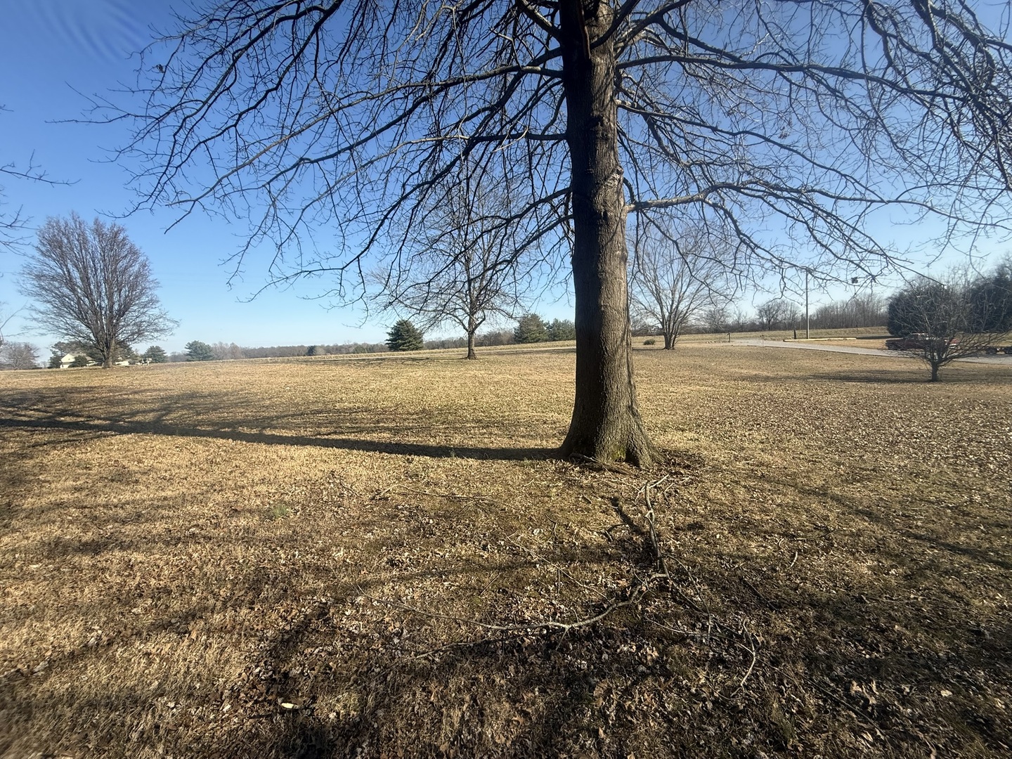 3675 Macedonia Road Metropolis, IL 62960 - Photo 18 of 50