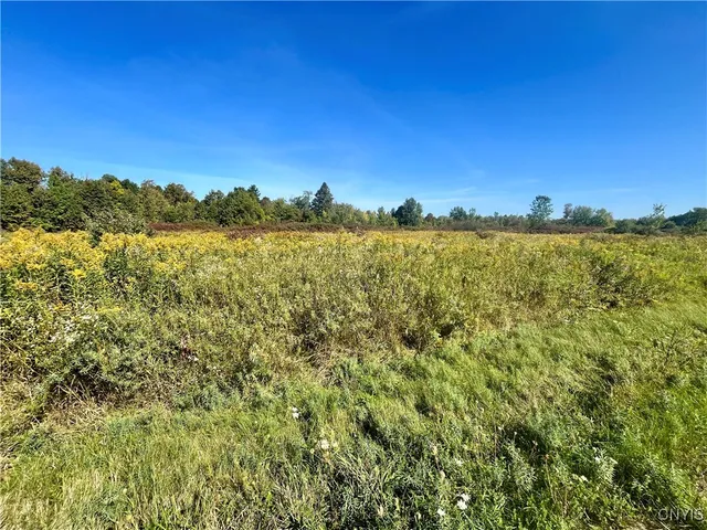 $59,900 | Lexington Avenue, Antwerp, NY 13608